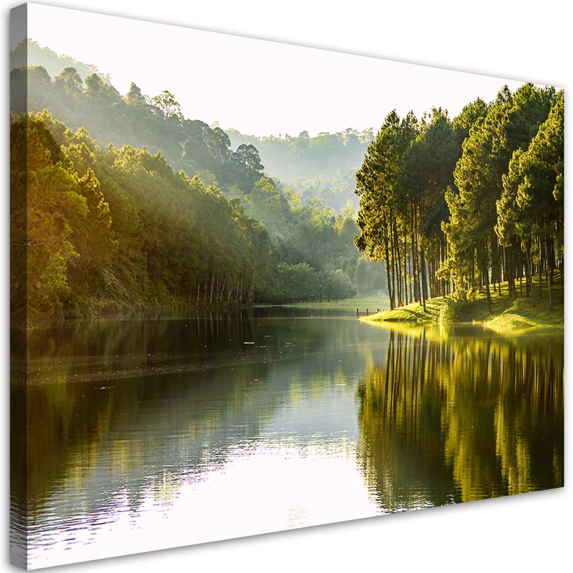 Canvasbillede, landskab skov træ natur