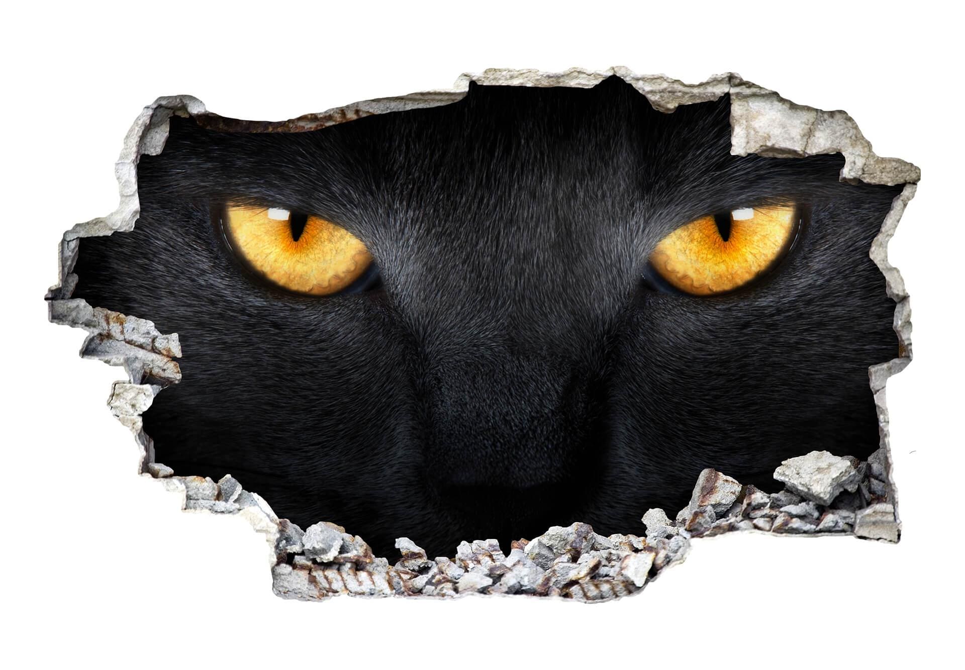3D Muursticker Kattenogen