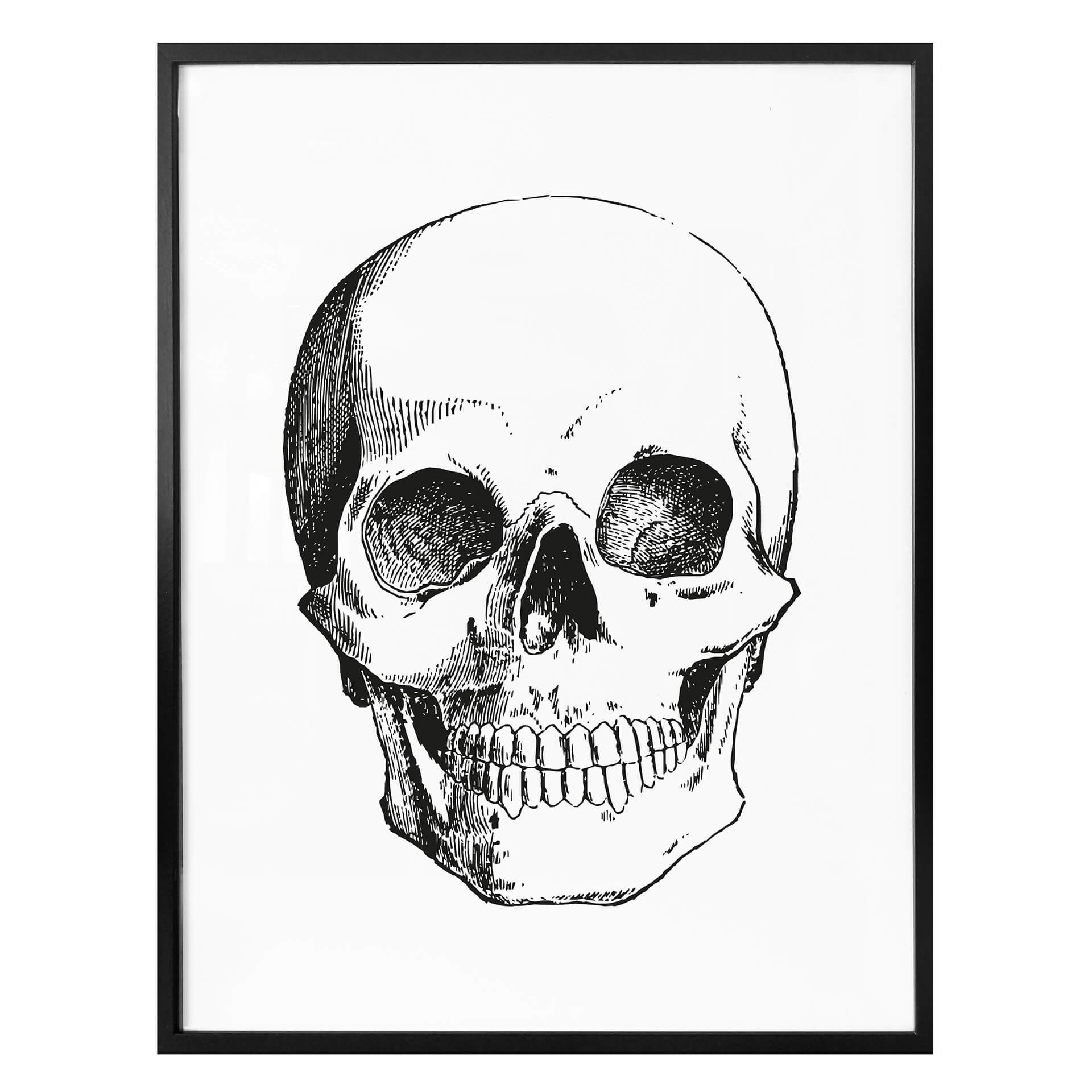 Affiche - Crâne humain