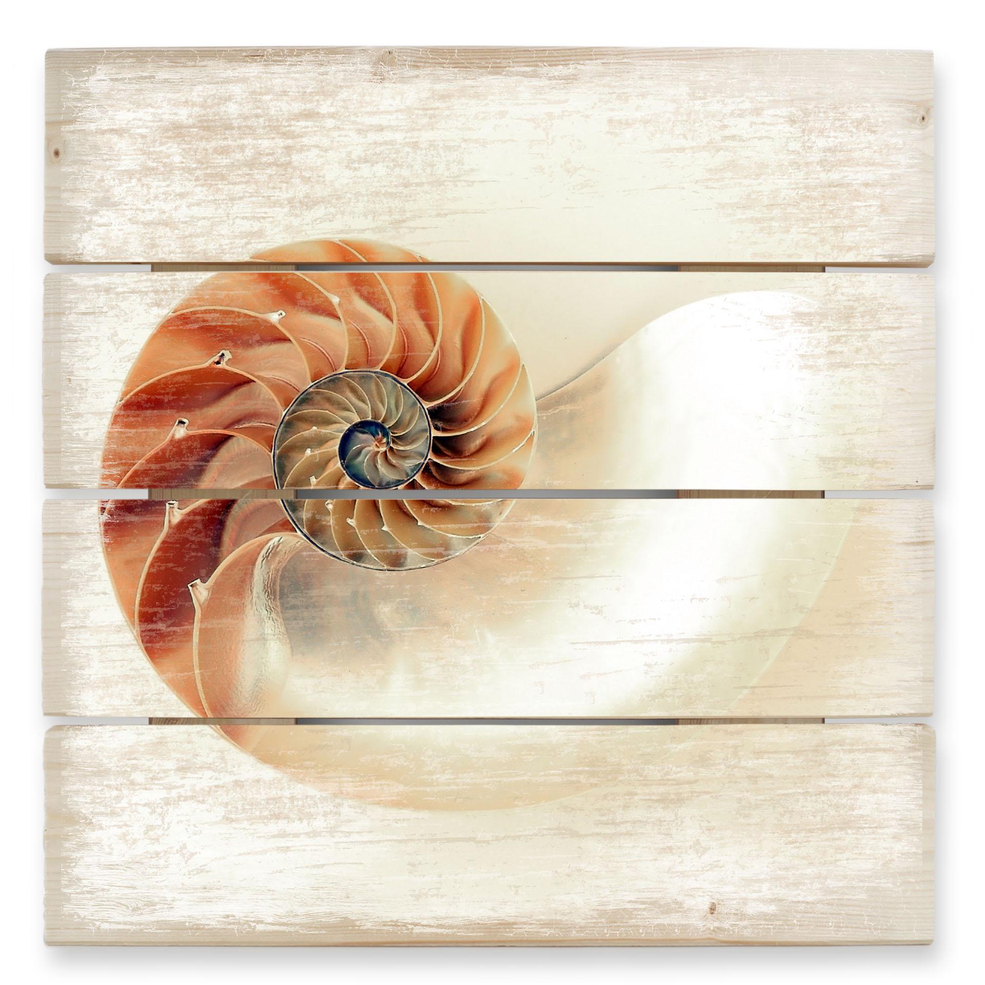 Cuadro de madera Nautilus - 40x41,5 cm