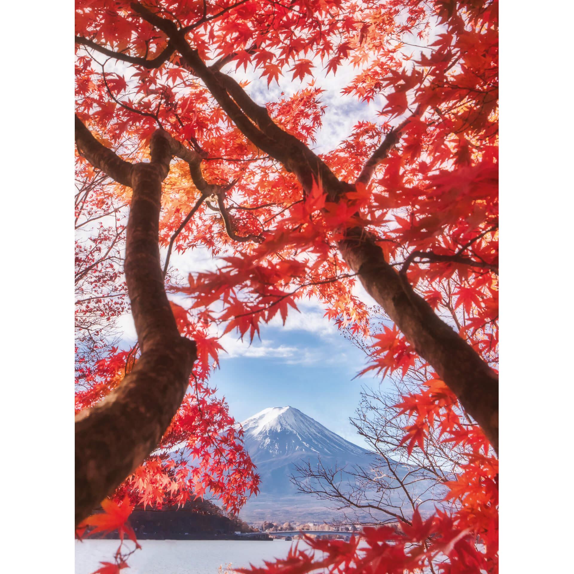 Fotobehang Samejima - Red Leaves - 192x260 cm