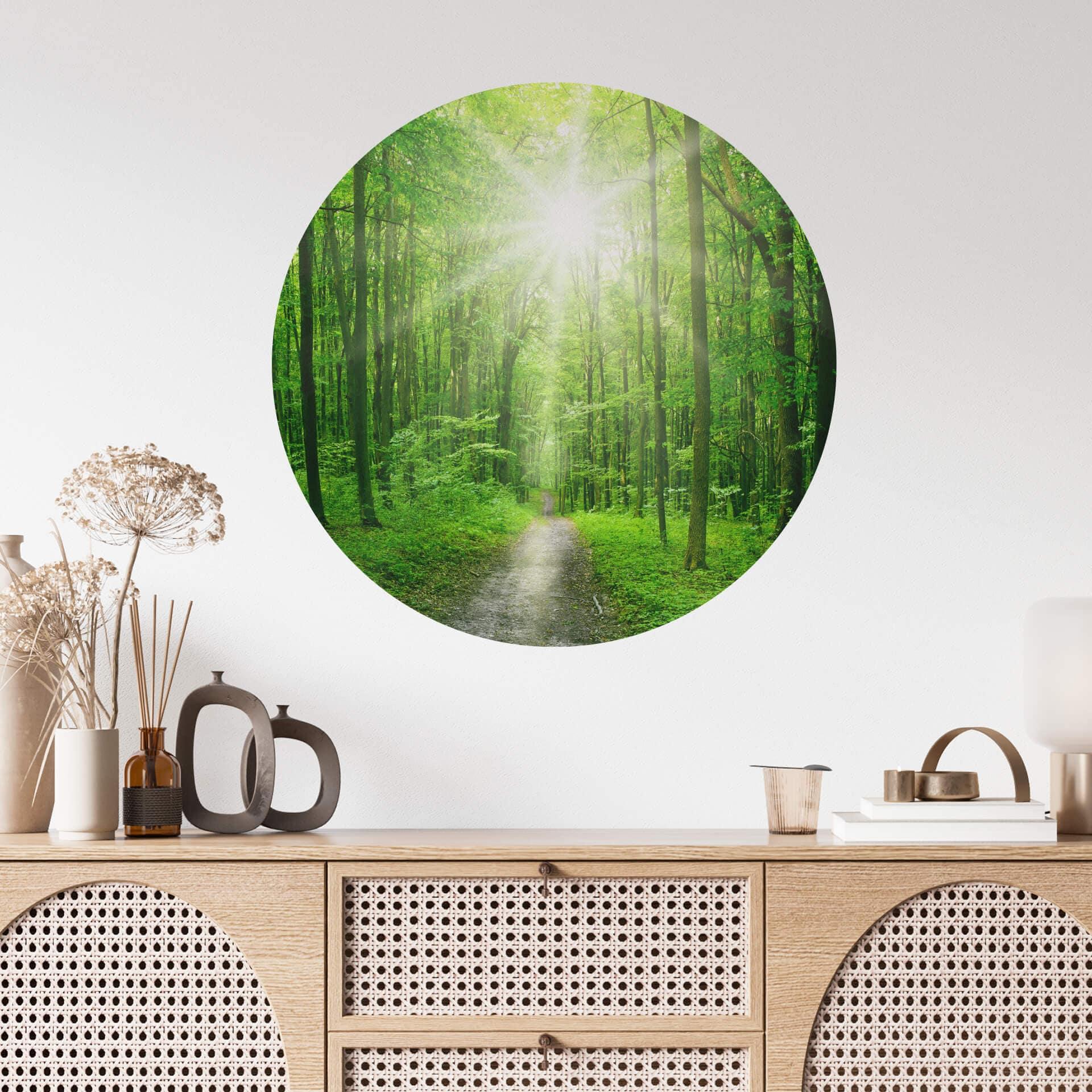 Muursticker rond Sunny Forest