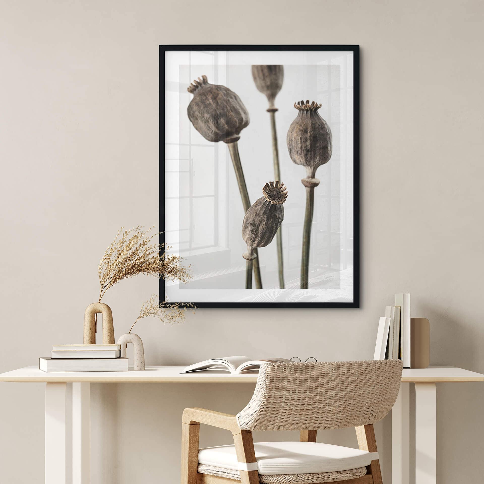Póster 1X Estudio - Cabezas de amapola secas