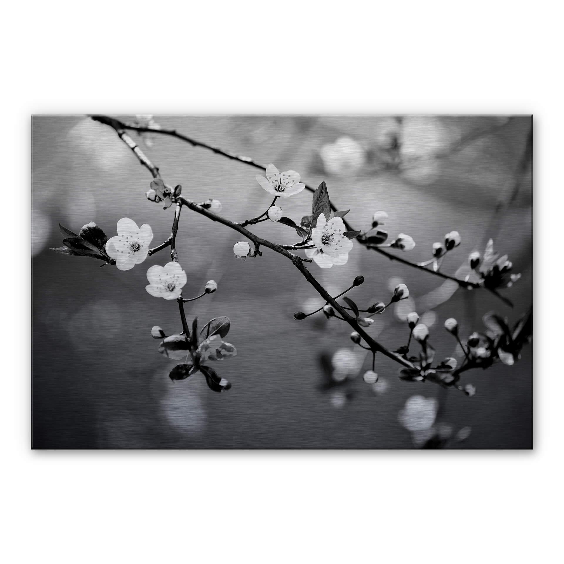 Tableau en alu-Dibond Éveil du printemps