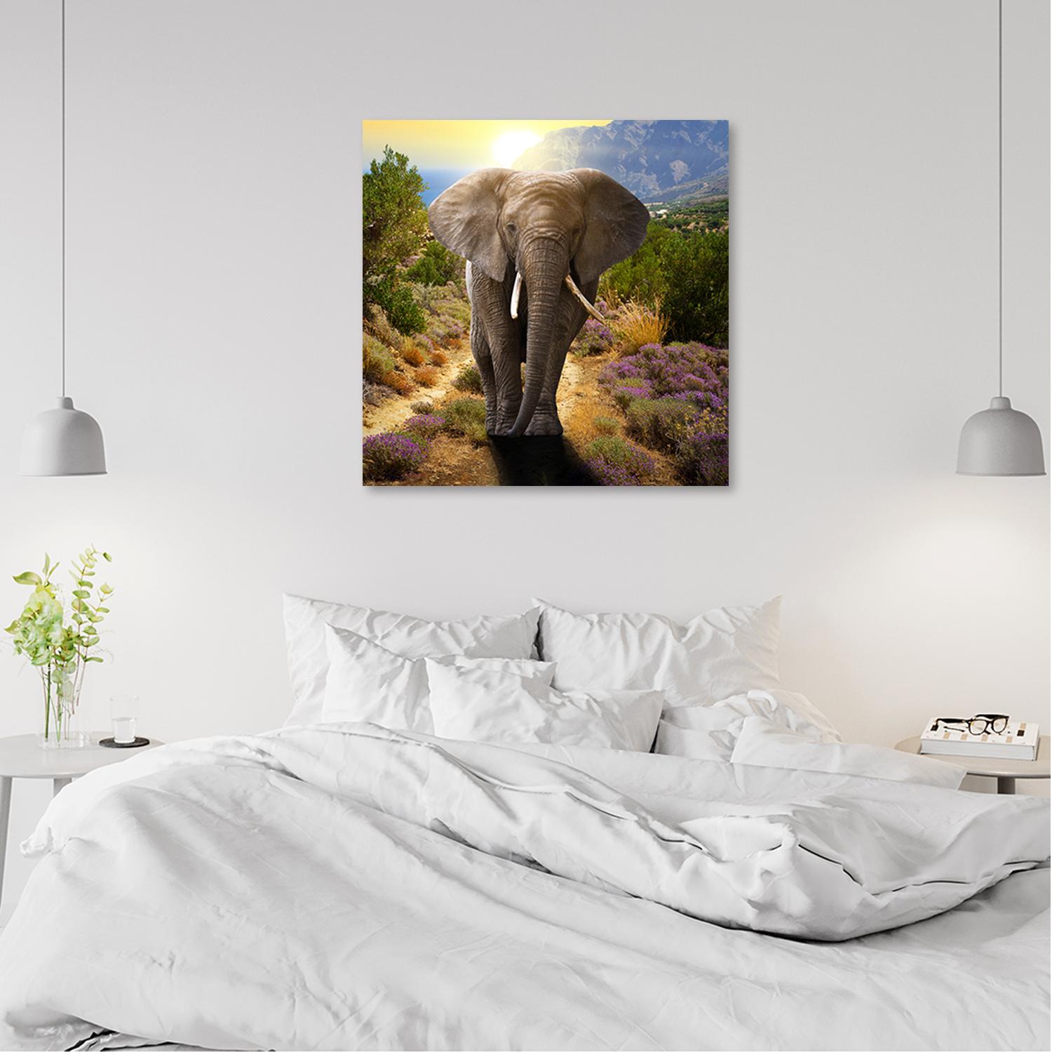 Canvasbillede, Elefant ved solnedgang