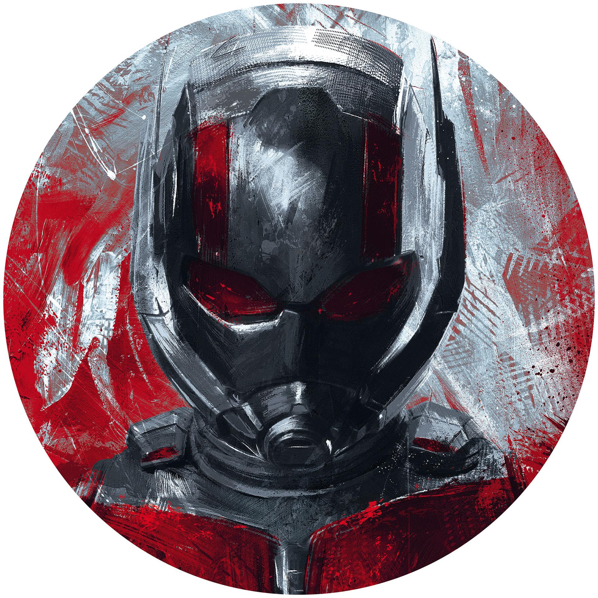Selvklæbende non-woven tapet - Avengers maleri Ant-Man - 125 x 125 cm