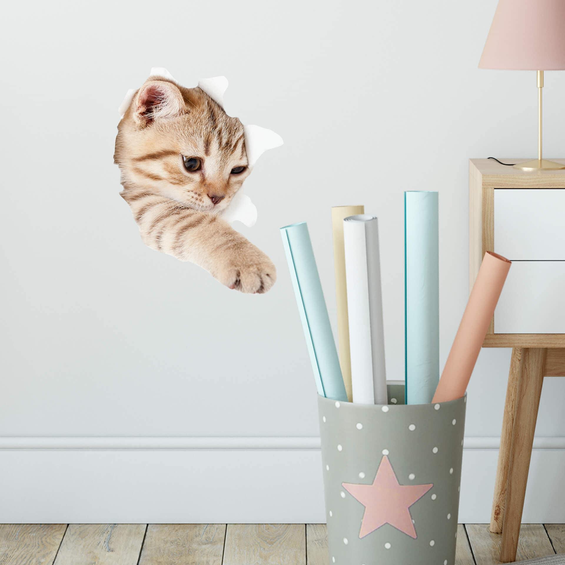 Muursticker Kat op Ontdekkingstocht