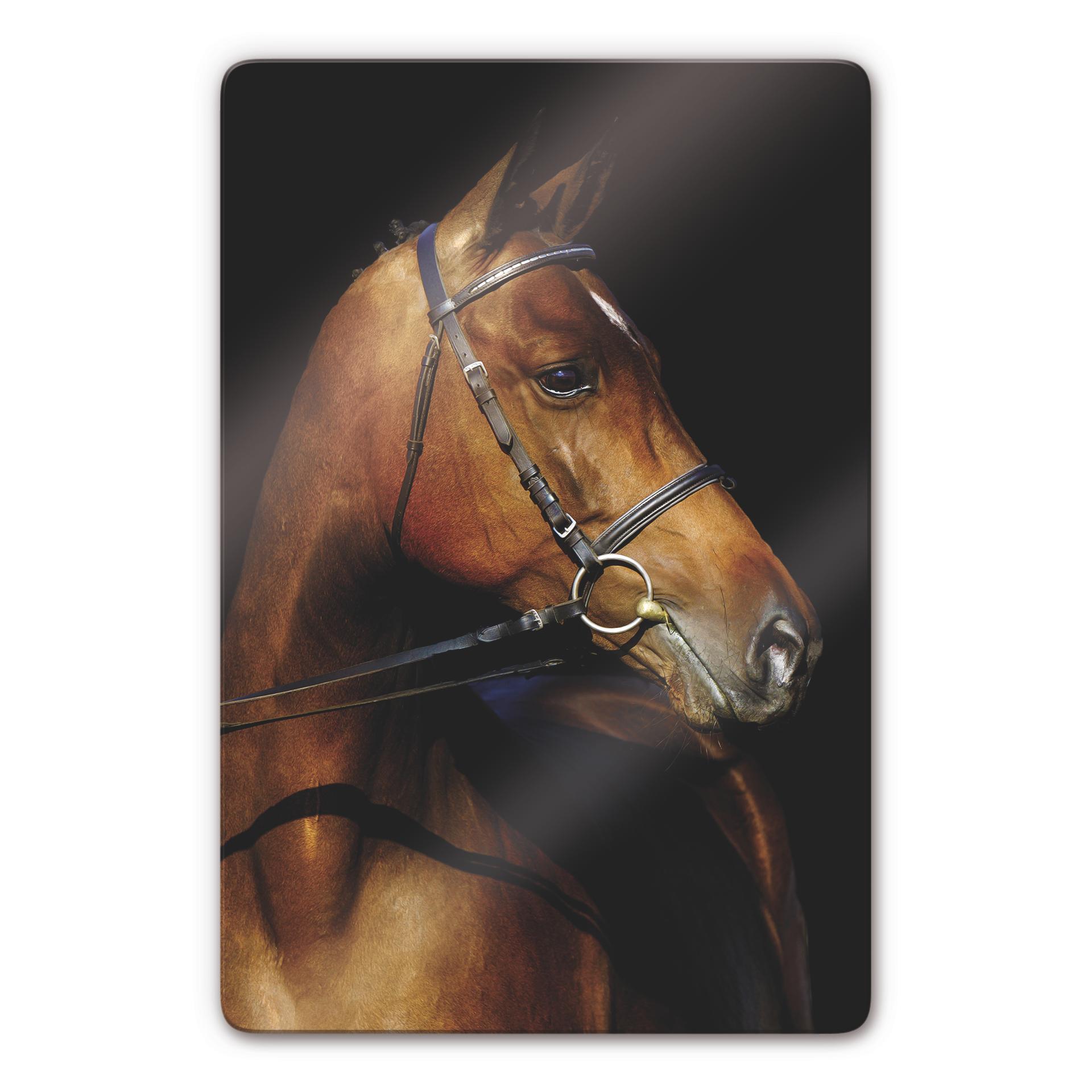 Glasbillede - Hingst