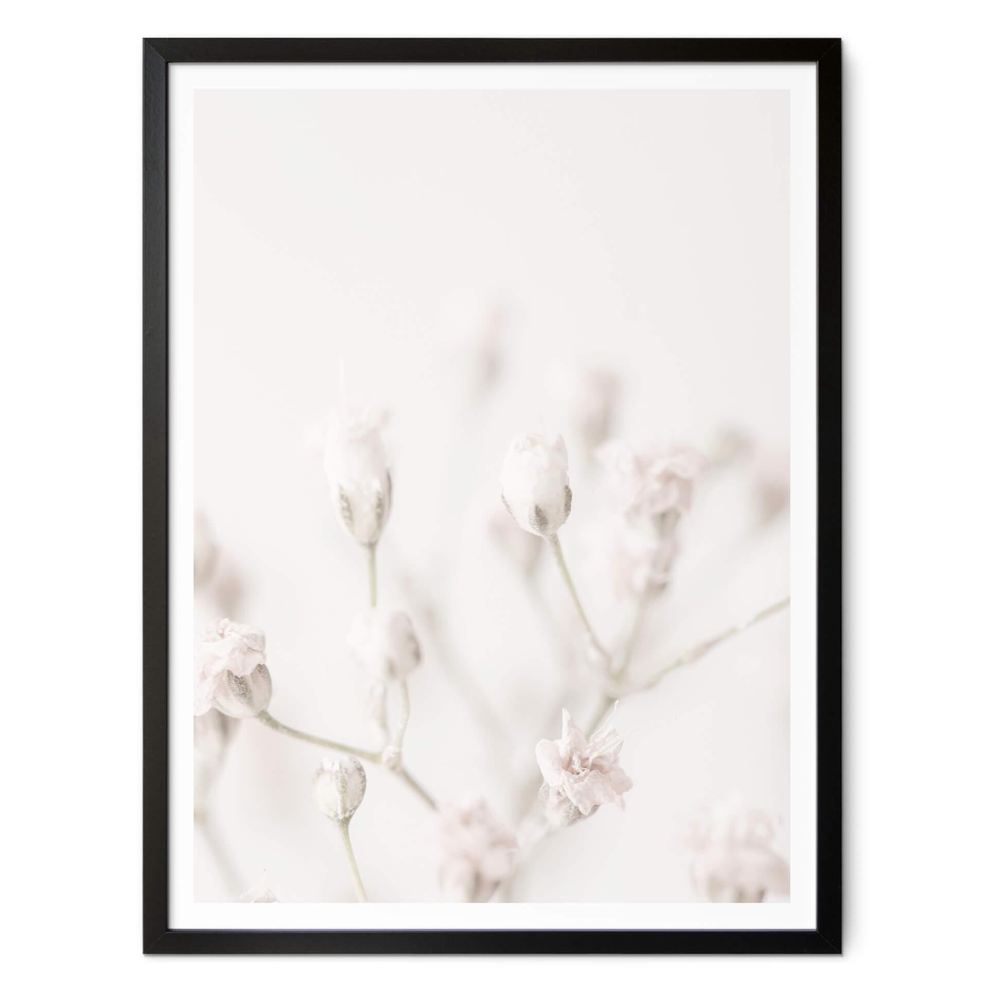 Poster 1X Studio - Delikata blommor