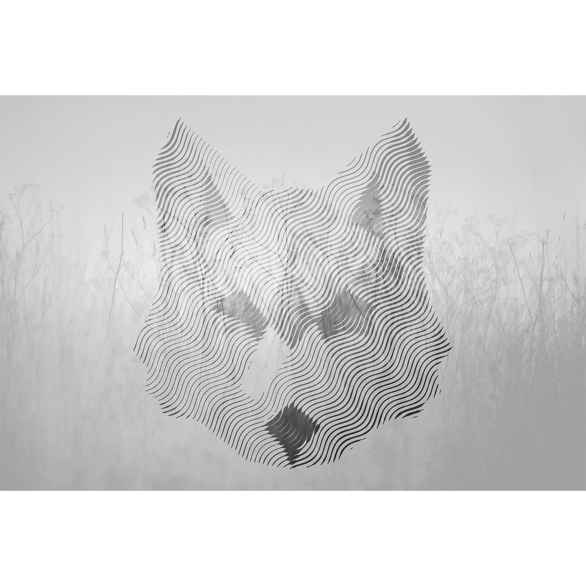 Architects Paper Fotobehang Atelier 47 Fox