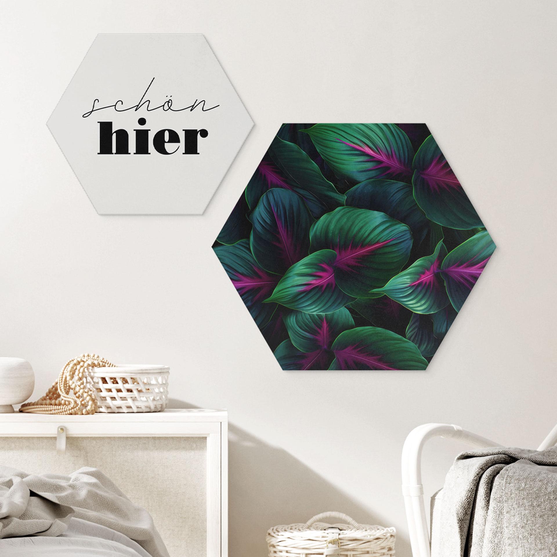 Hexagon Dibond Farverige jungleplanter - Paksoylu