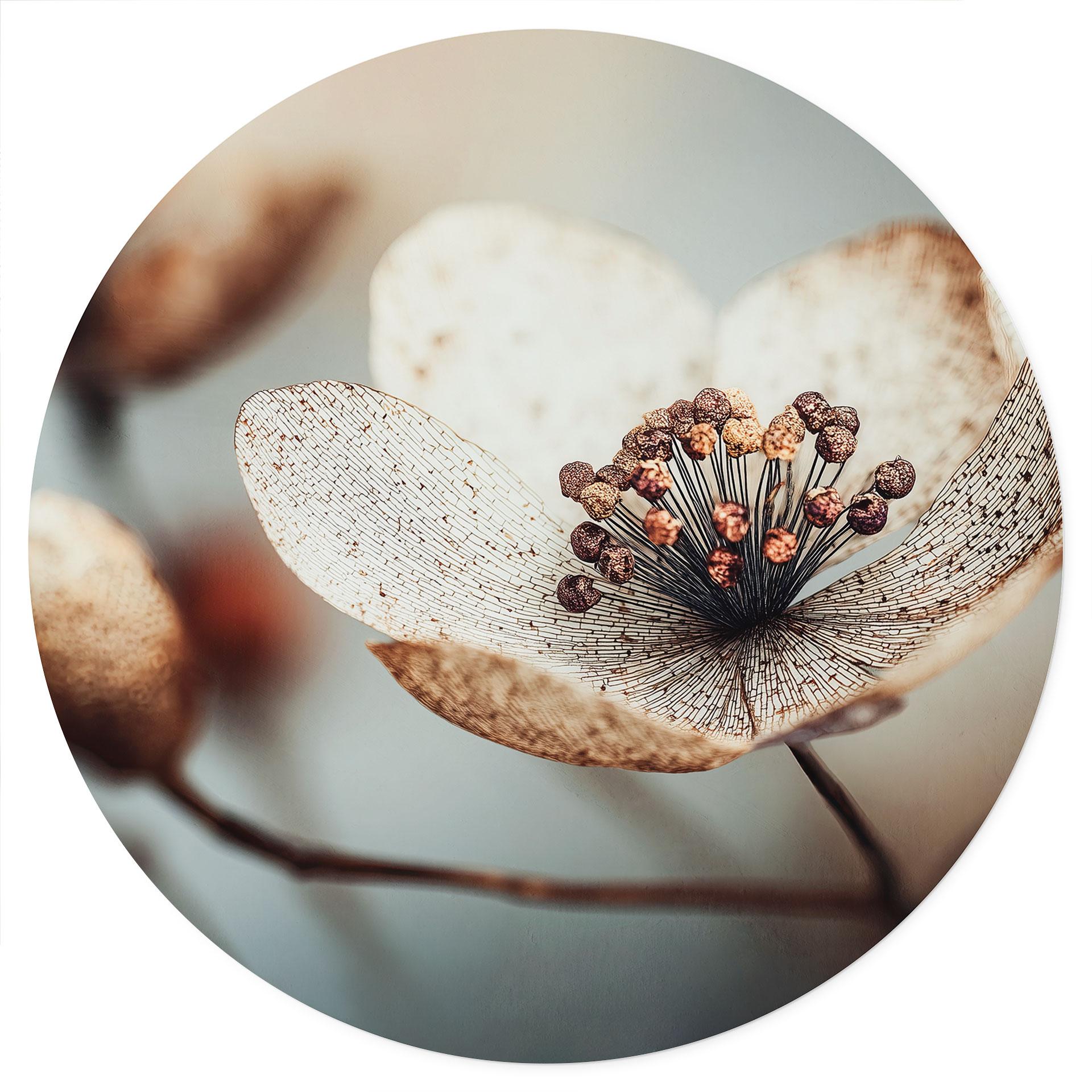 Bloemen Muursticker Boho gedroogde bloemen macro - Treechild - Rond