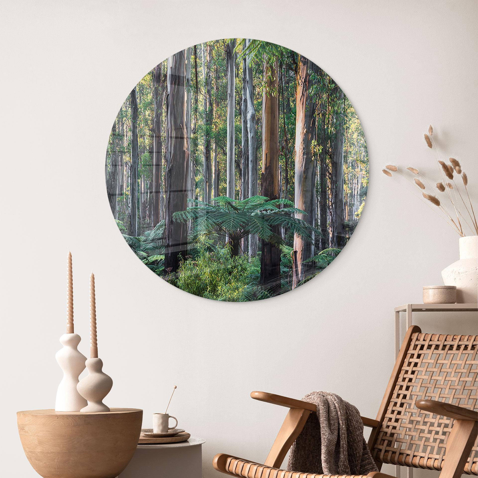 Glasbillede - Eukalyptus skov i Yarra Ranges - Colombo - Runde