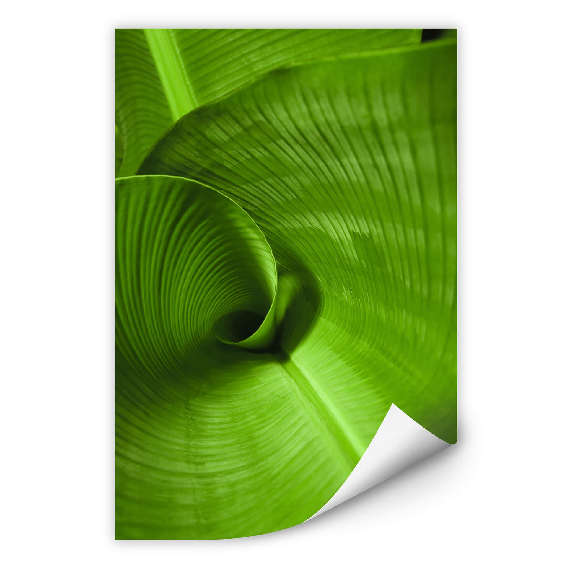 Poster autocollant - W - Feuille de Bananier