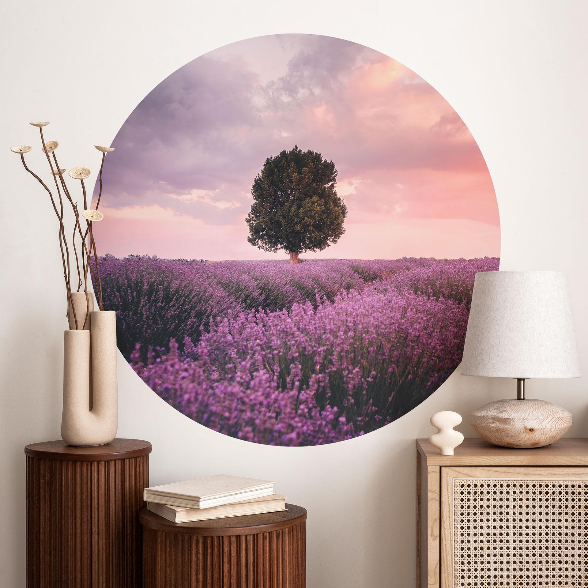 Wall Sticker Lilla lavendelmarker ved solnedgang - Cevik