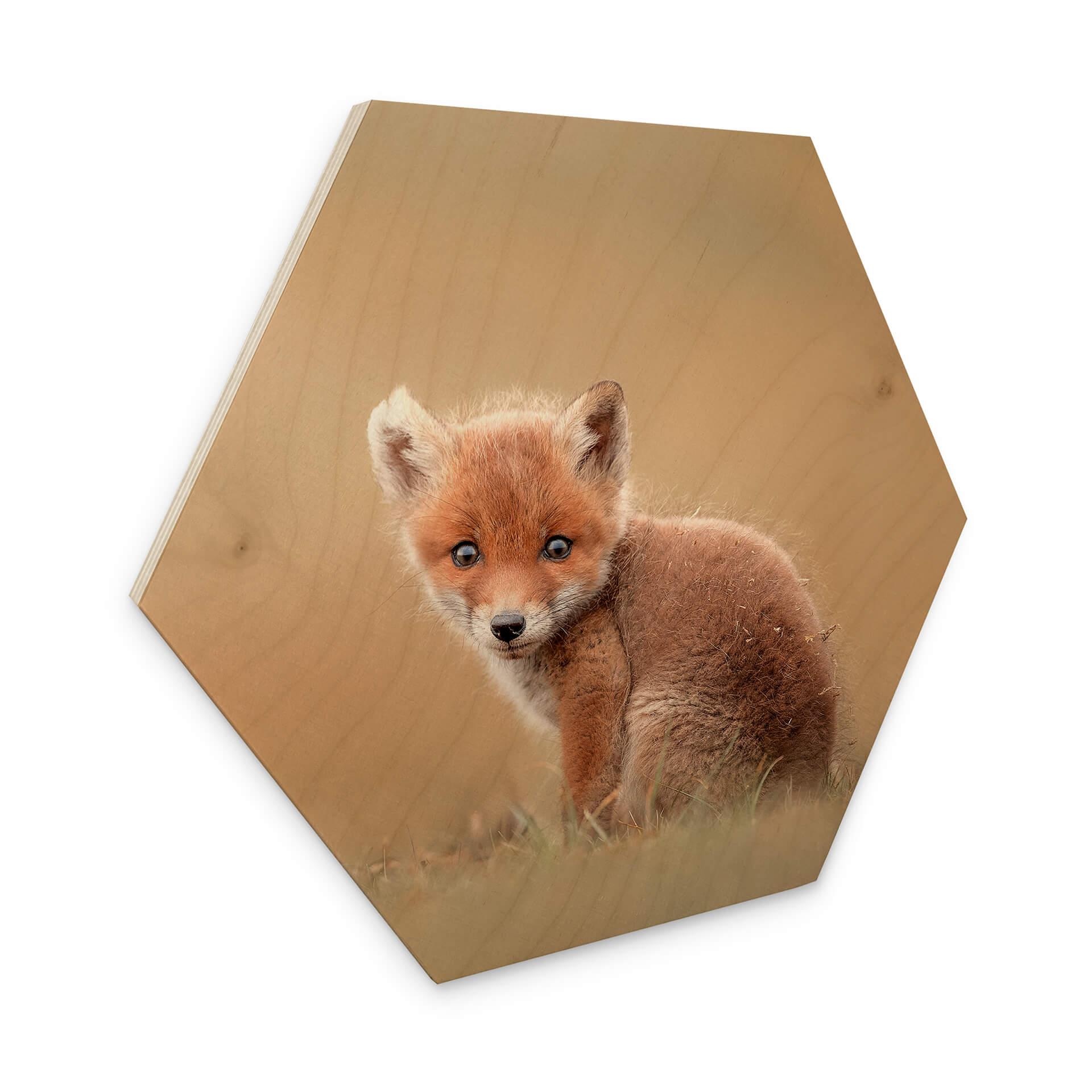 Hexagon Hout van Duijn - Baby Fox