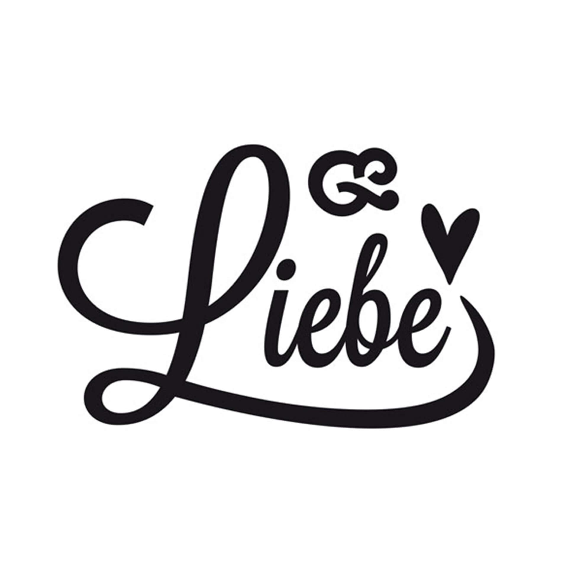 Wandtattoo Liebe ist nicht vom ersten Tag an da.. (2-farbig)