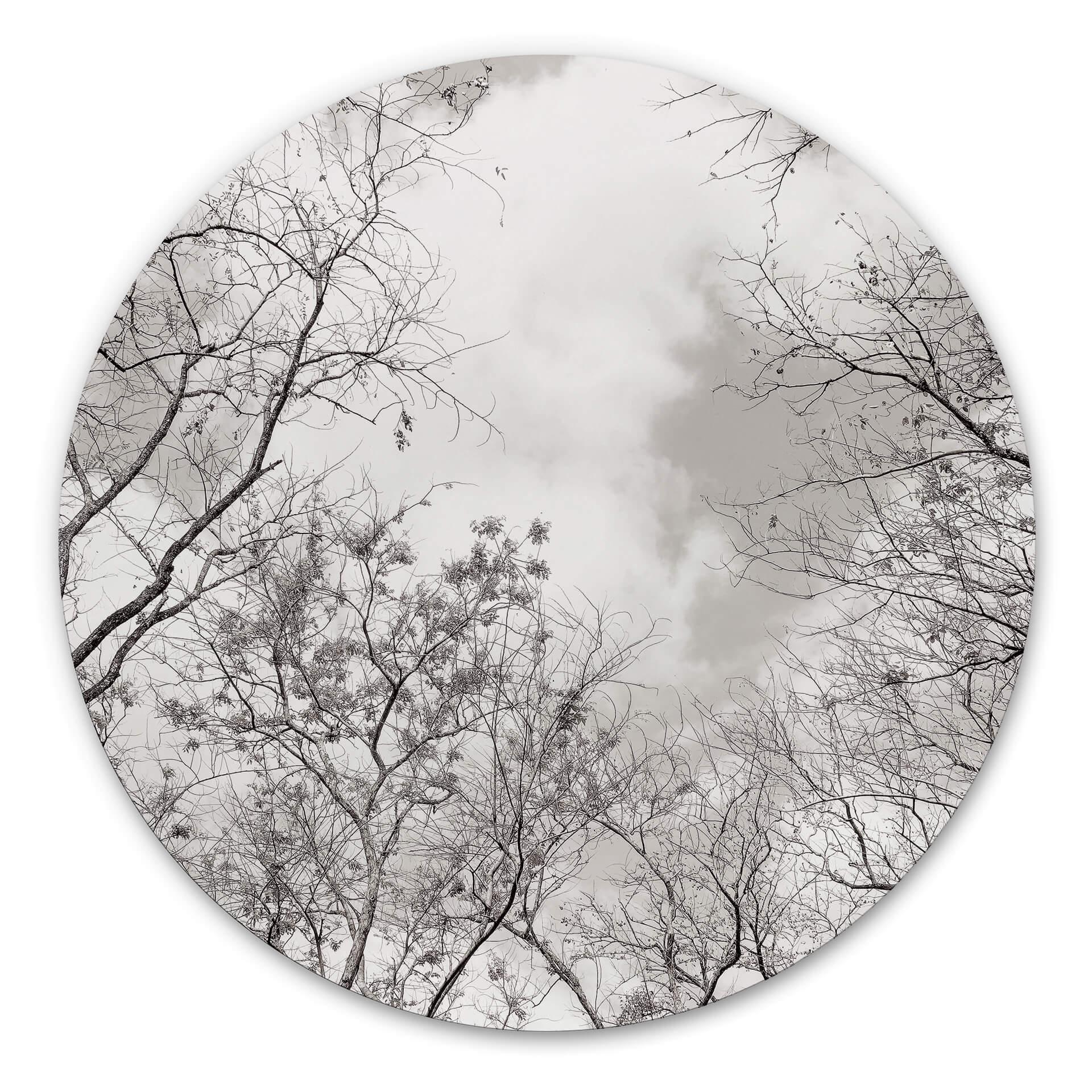 Tableau en alu-Dibond Cimes des arbes dans le ciel - Rond