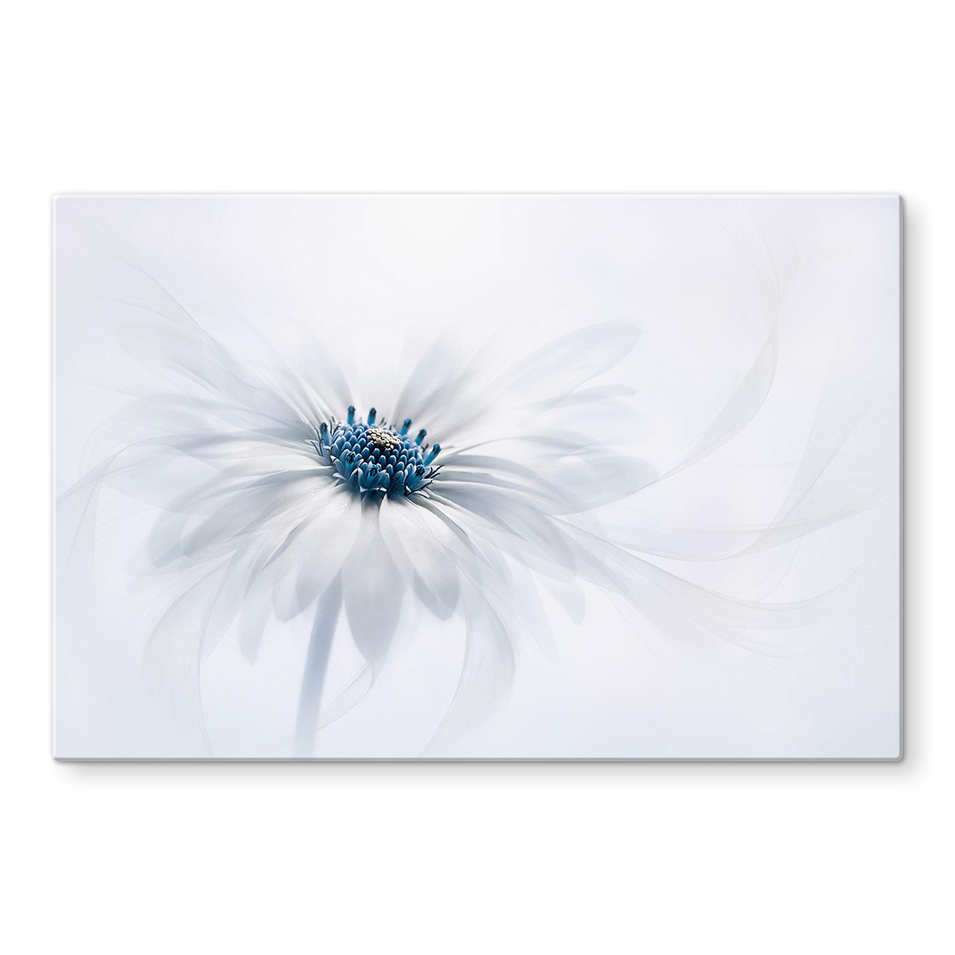 Spatscherm Parker - Frozen Flower