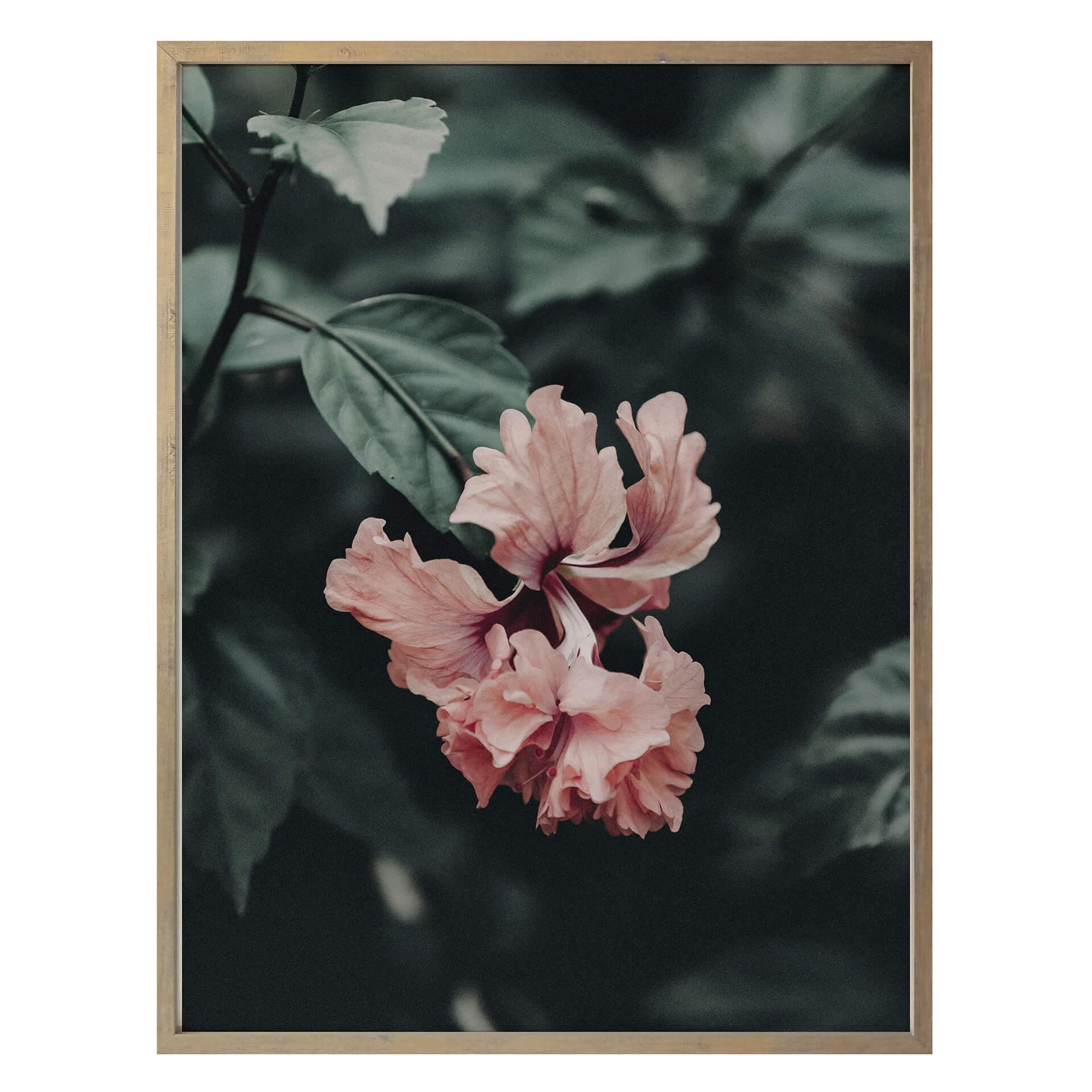 Poster Fleur tropicale