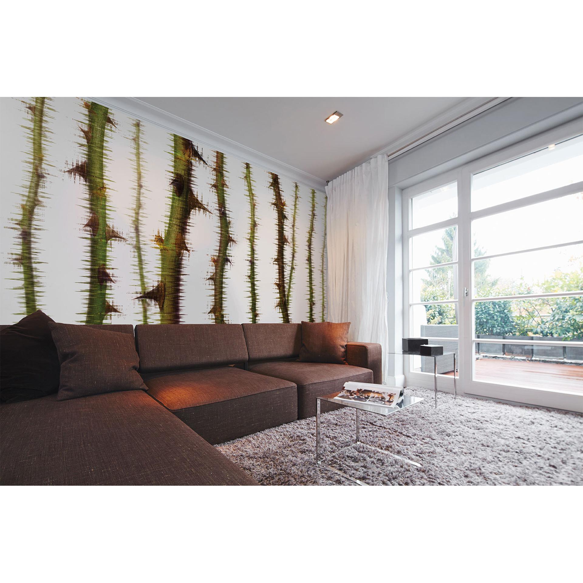 Architects Paper Papier peint photo Atelier 47 Blurred Thorns nature