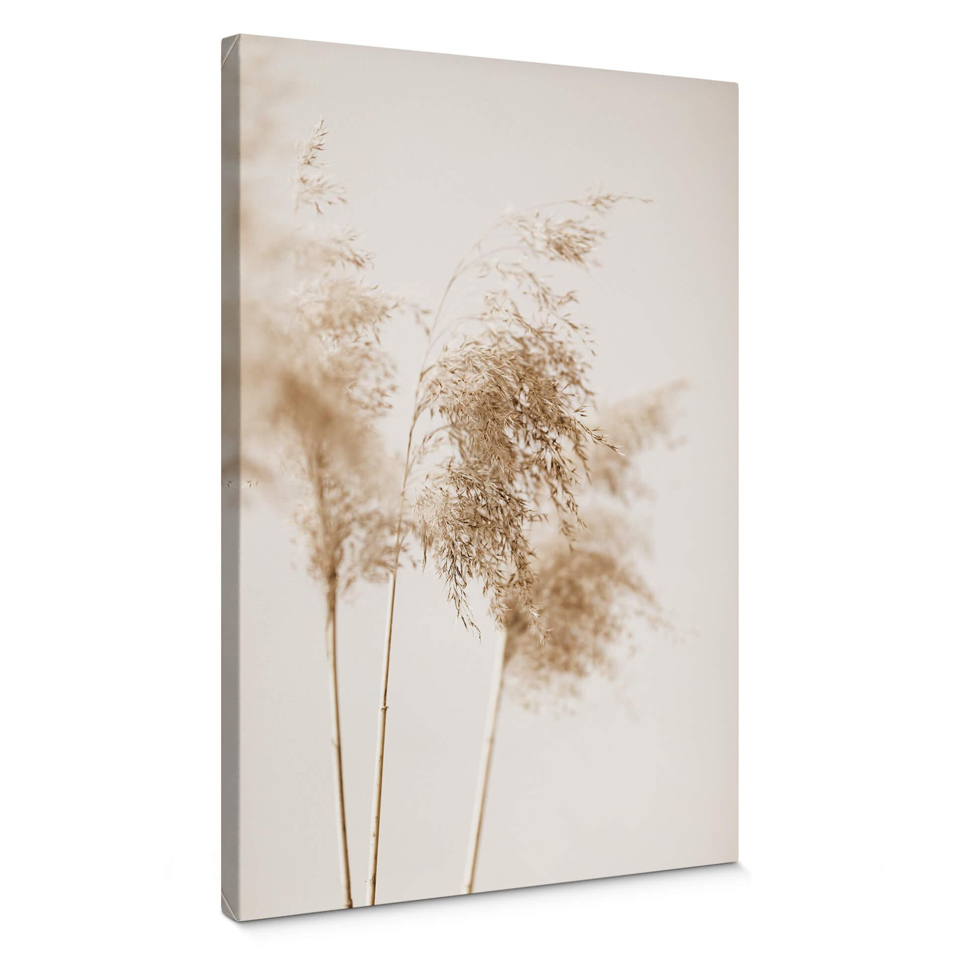 Canvastavla 1X Studio - Sommargräs