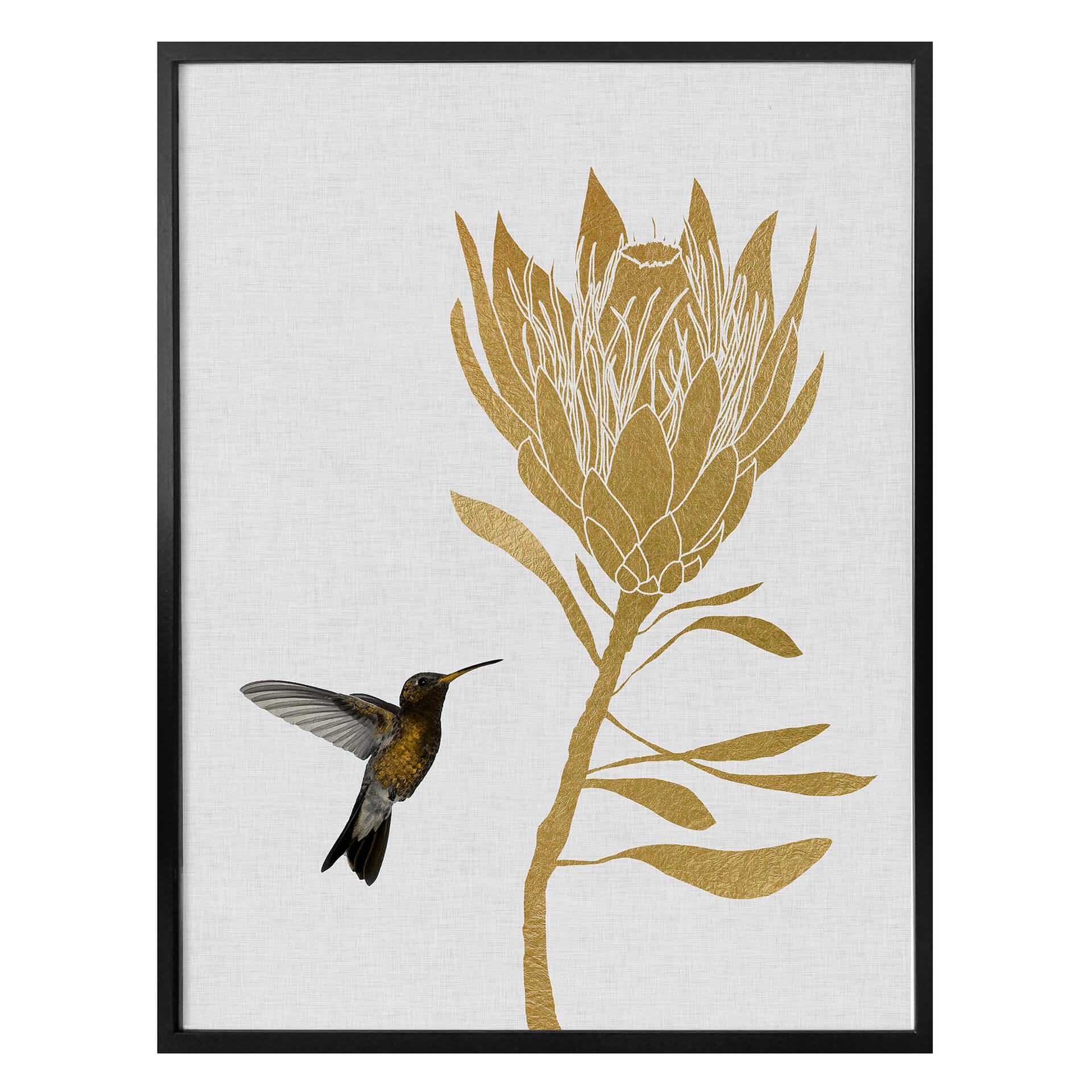 Plakat - Orara Studio - Hummingbird and Flower - golden flower