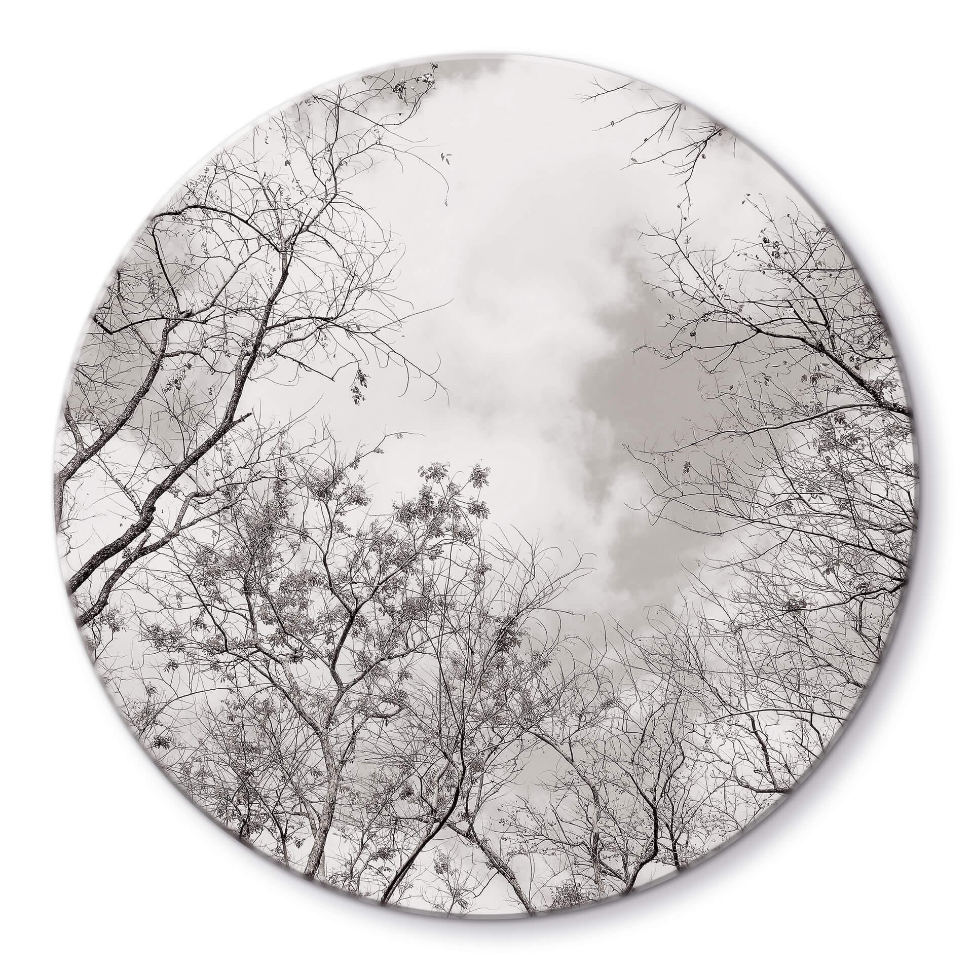 Tableau en verre Cimes des arbes dans le ciel - Rond
