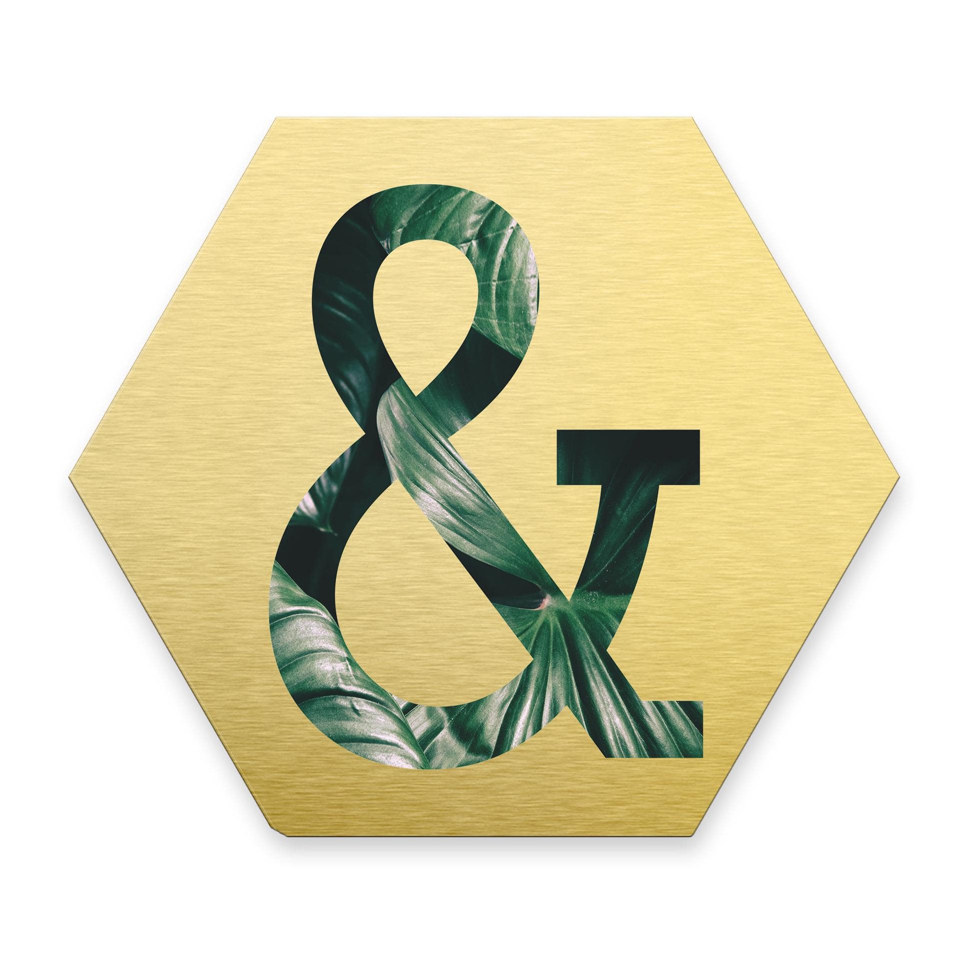 Hexagon bogstaver - Alu-dibond Guld, Jungle "&"