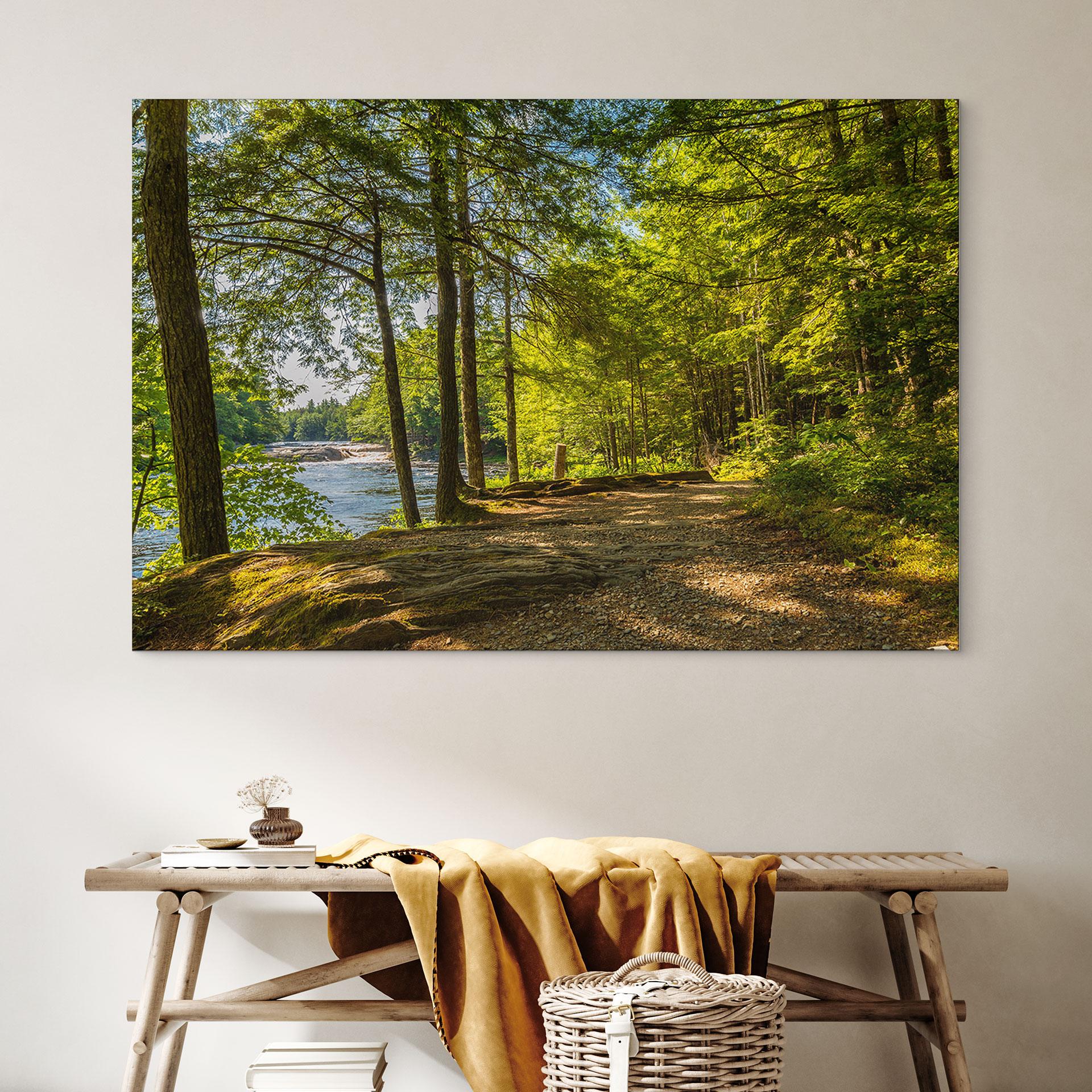Wandbild Waldweg am Fluss - Alu-Dibond