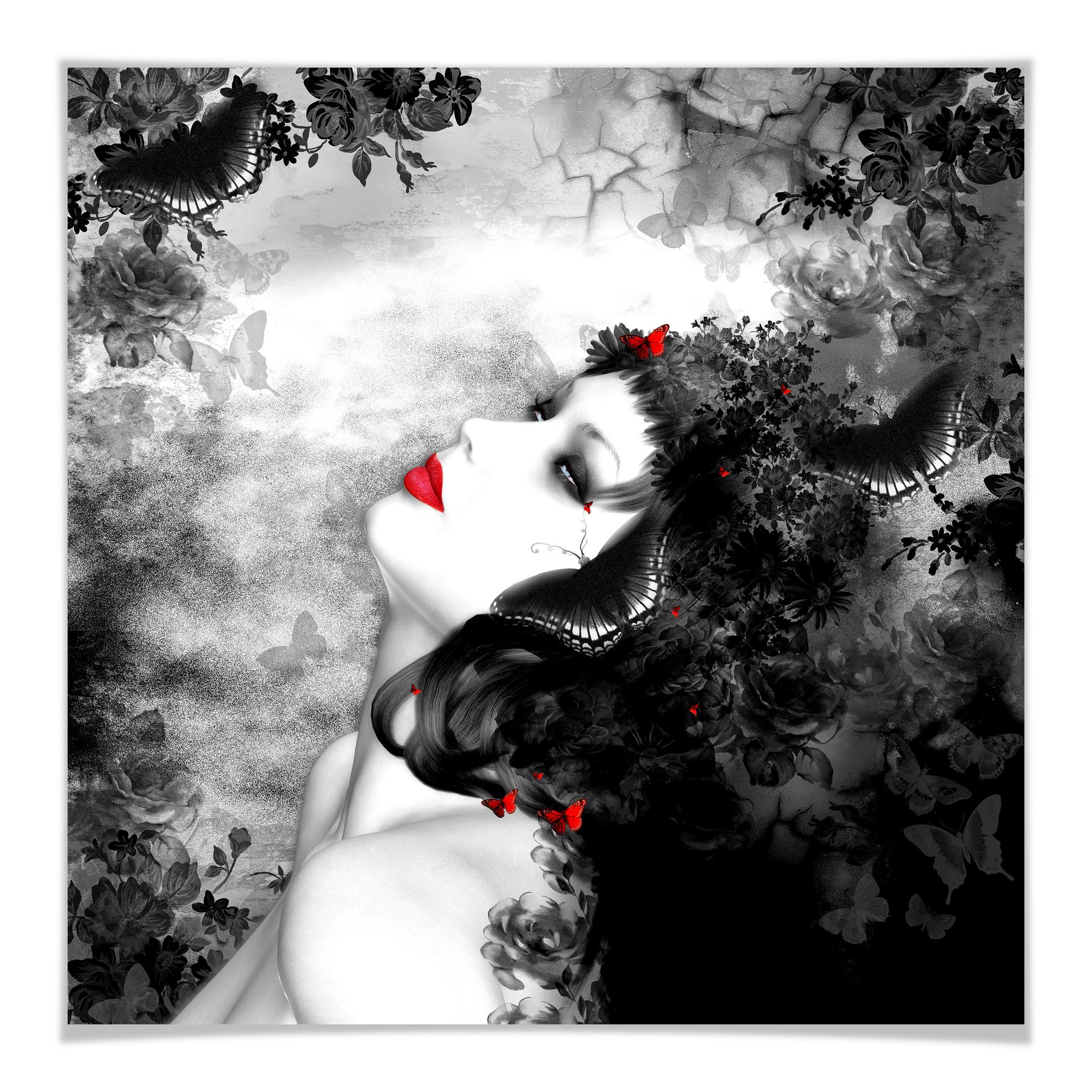 Poster - Papillon noir Imago