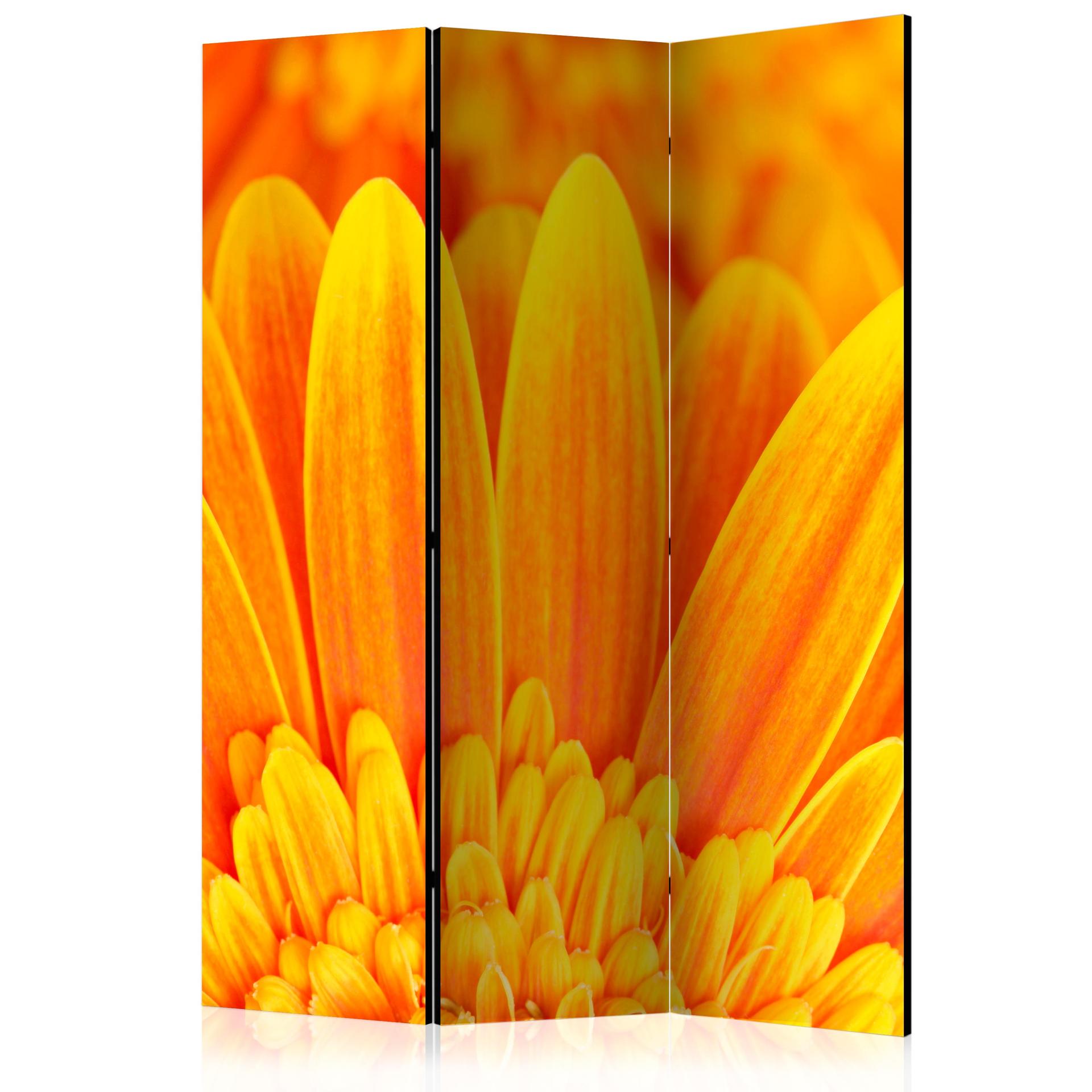 Skærmvæg - Gul gerbera, 3 stk.