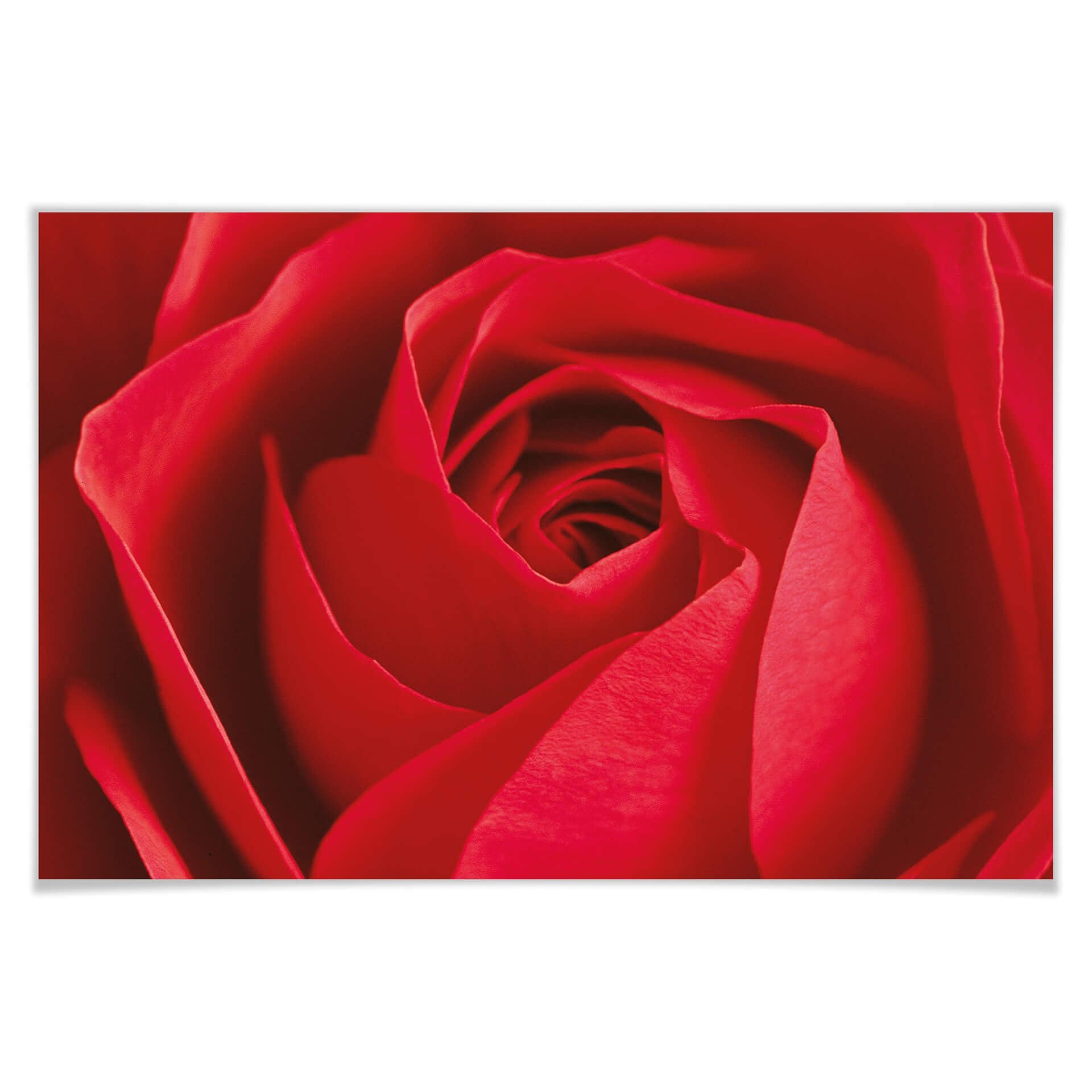 Giant Art® XXL-Poster L'important c'est la Rose - 175x115 cm