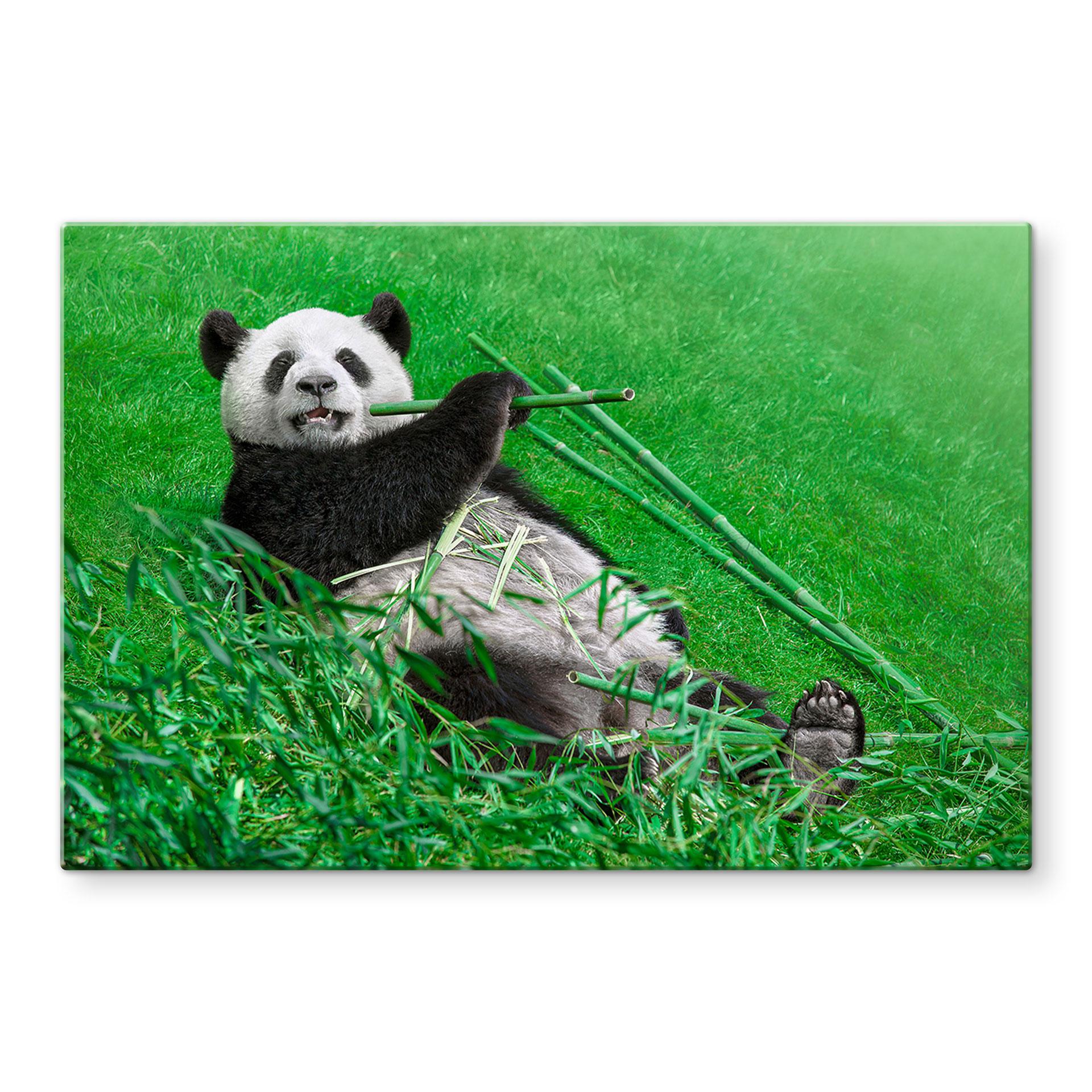 Stænkplade - Ben Heine - Lykkelig Panda