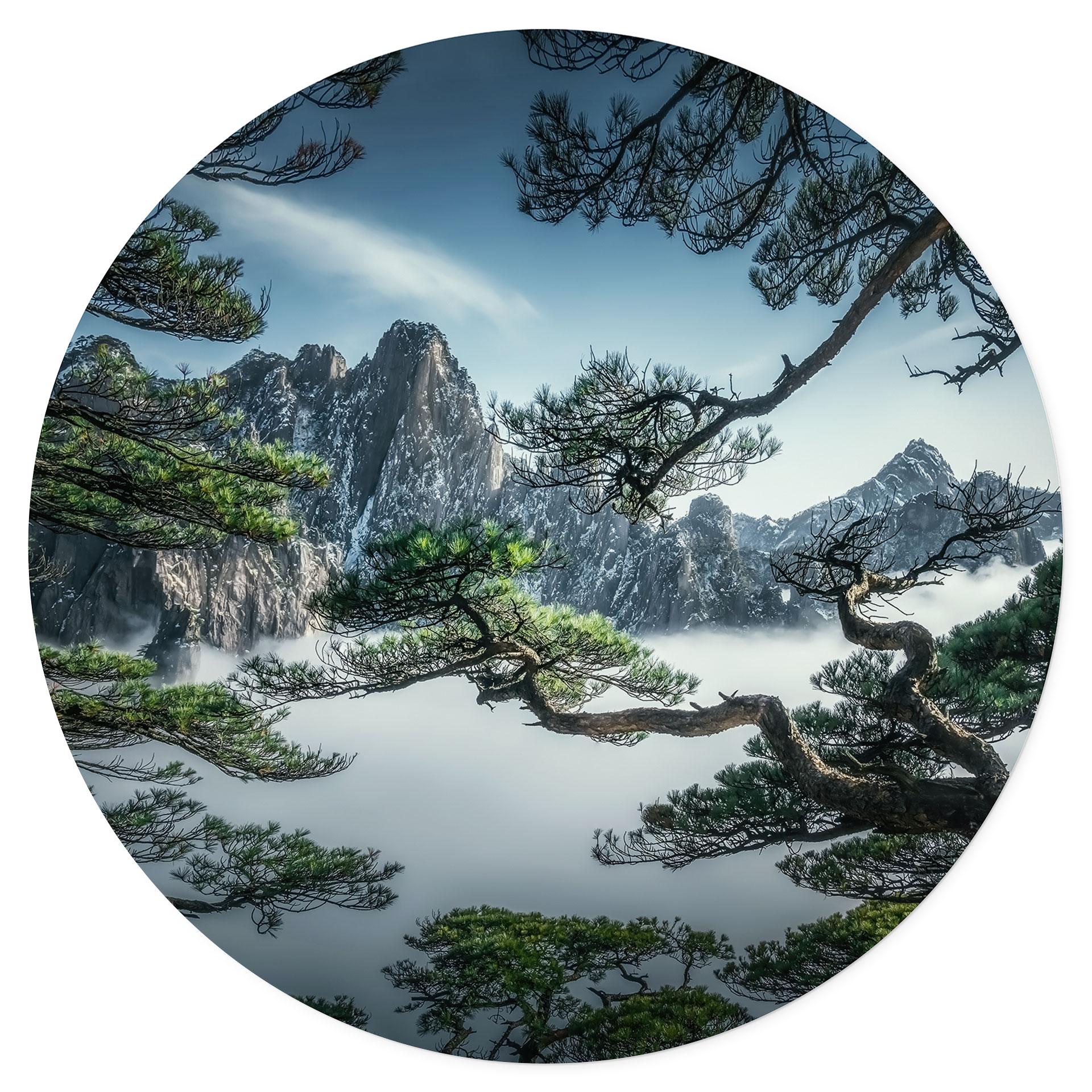 Vinilo decorativo Bosque de pinos en las montañas Huang Shan - NingYun Ye - Redondo