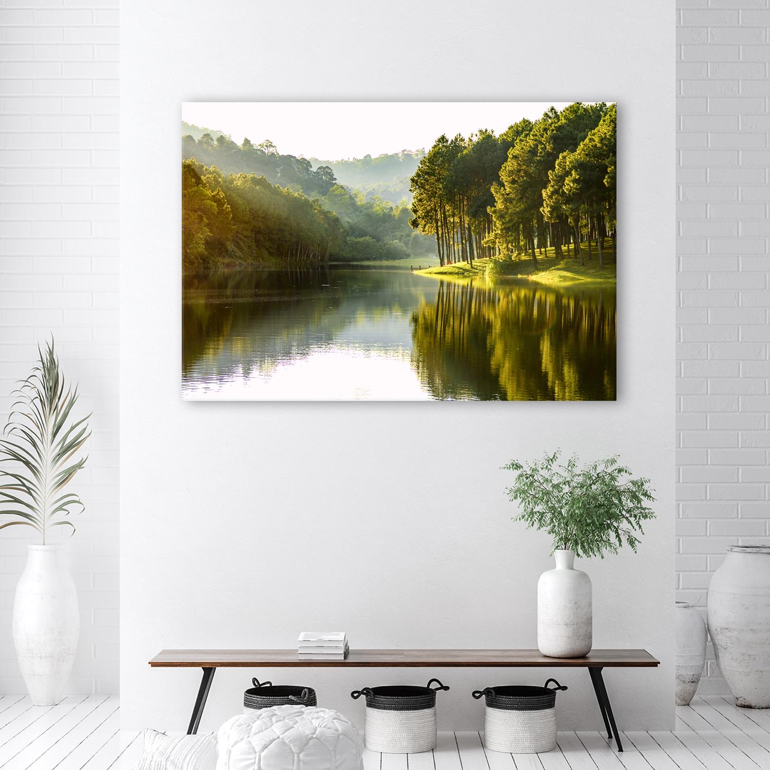 Canvasbillede, landskab skov træ natur