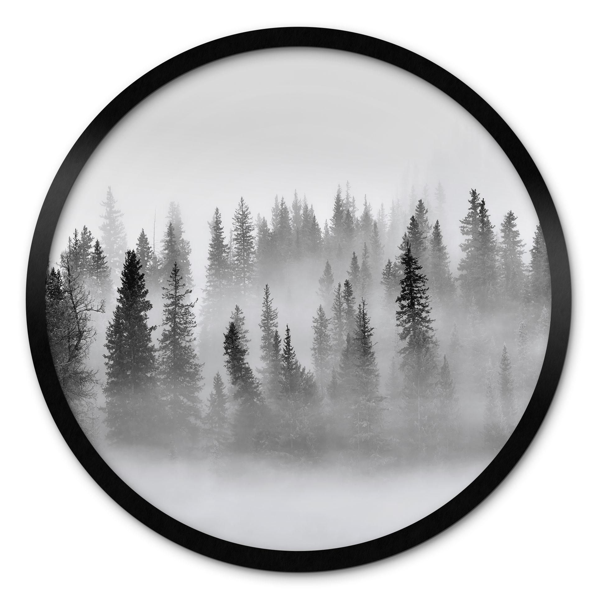 Plakat Xu - Foggy Forest