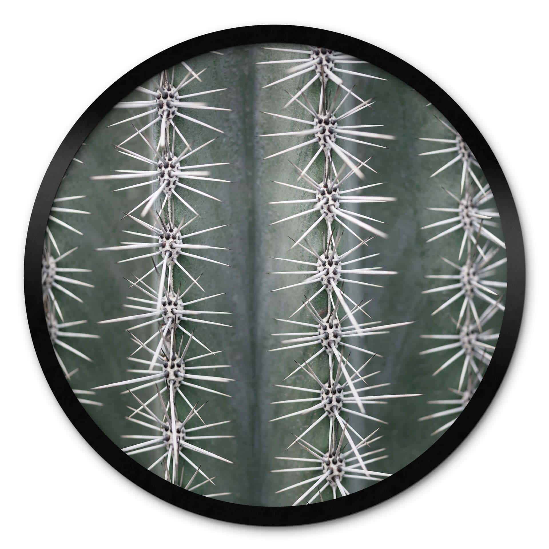 Plakat 1X Studio - Cactus