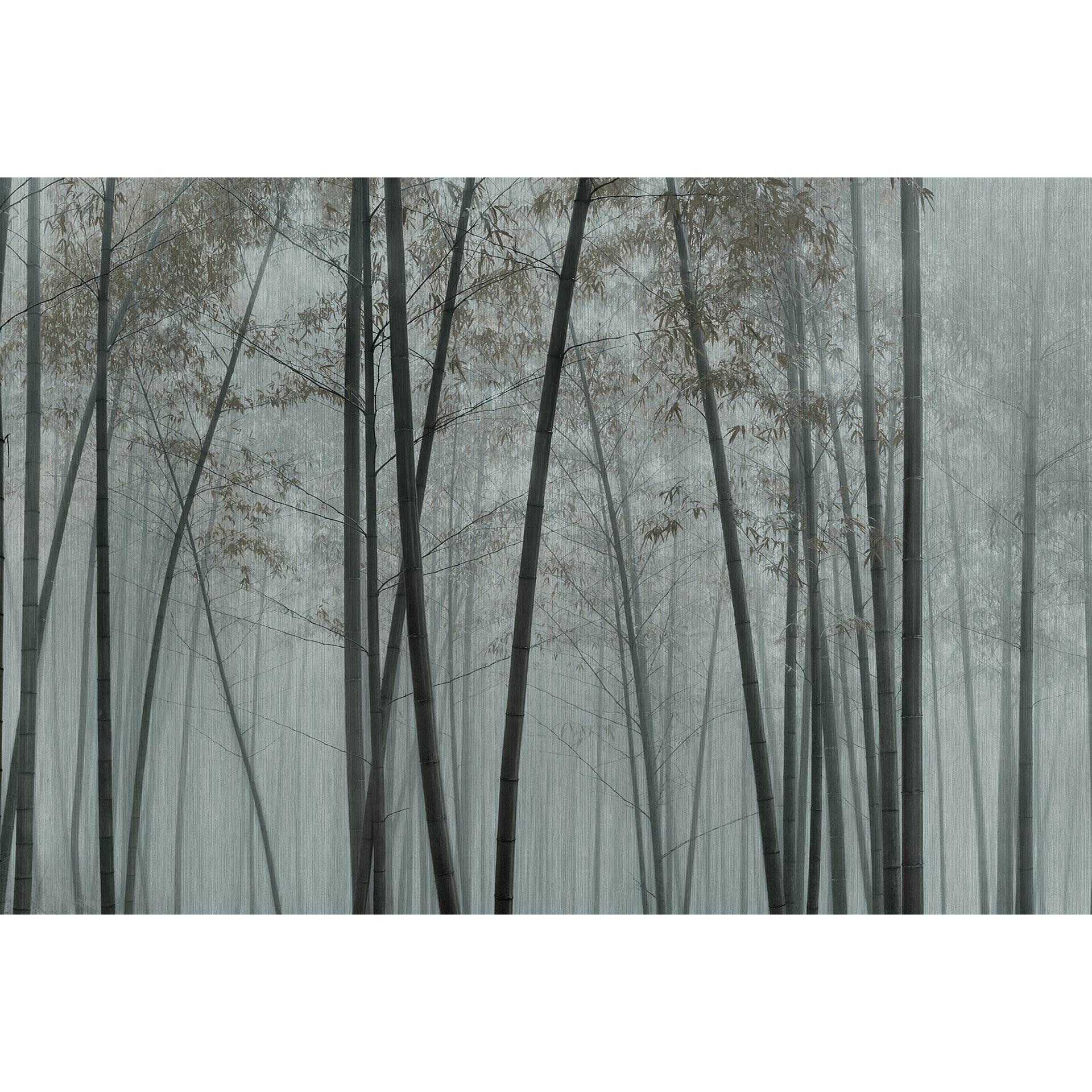 Livingwalls Fotobehang Walls by Patel 3 In the Bamboo