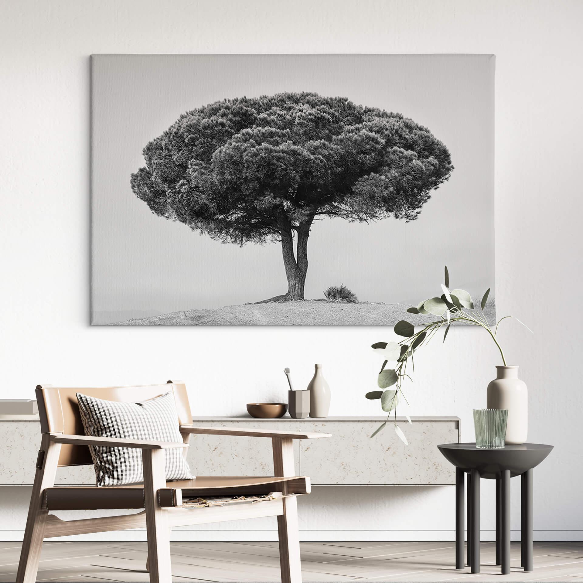 Lienzo Martin - Árbol en blanco y negro