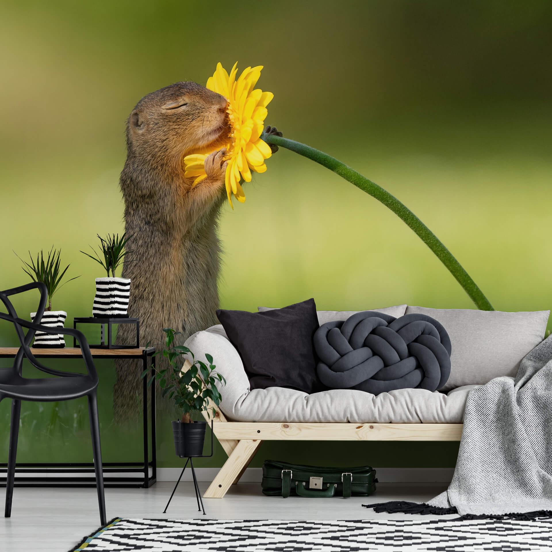 Fototapet - van Duijn - Egern dufter til blomst