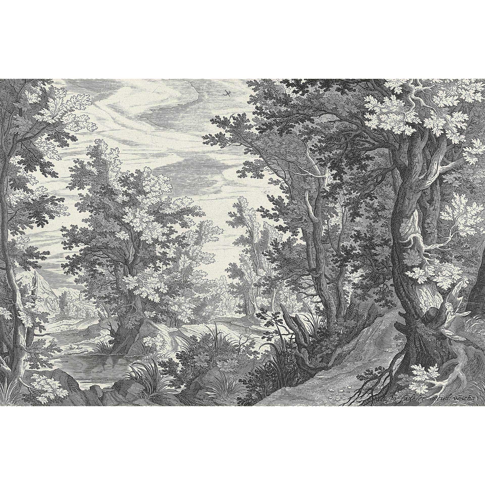 Livingwalls Fotobehang Walls by Patel 3 Fancy Forest