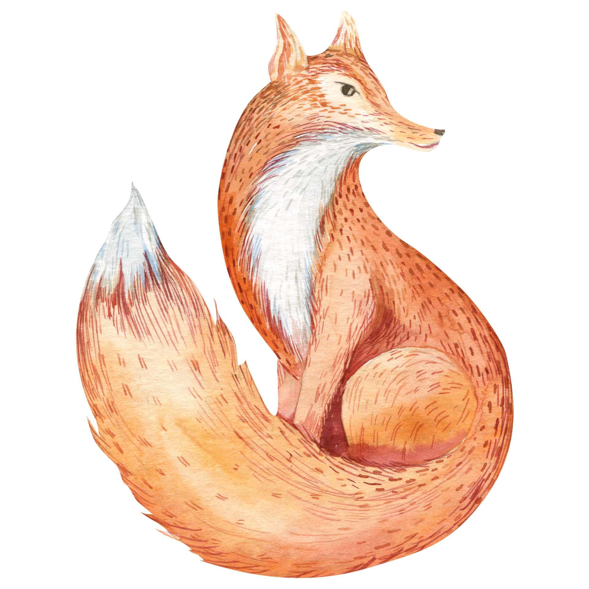 Wandtattoo Kvilis - Stolzer Fuchs