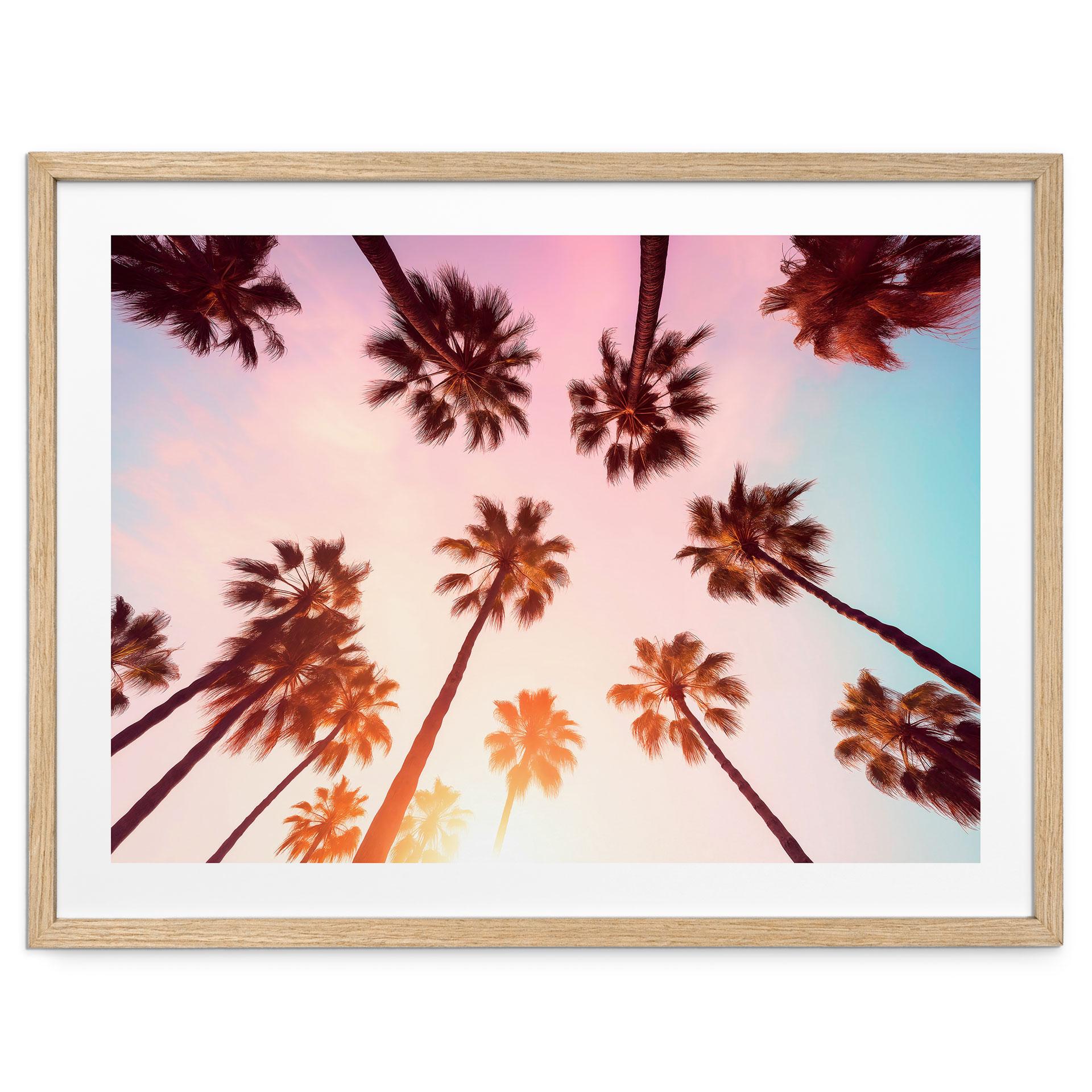 Naturplakat California Dreaming med udsigt til palmer - Hugonnard