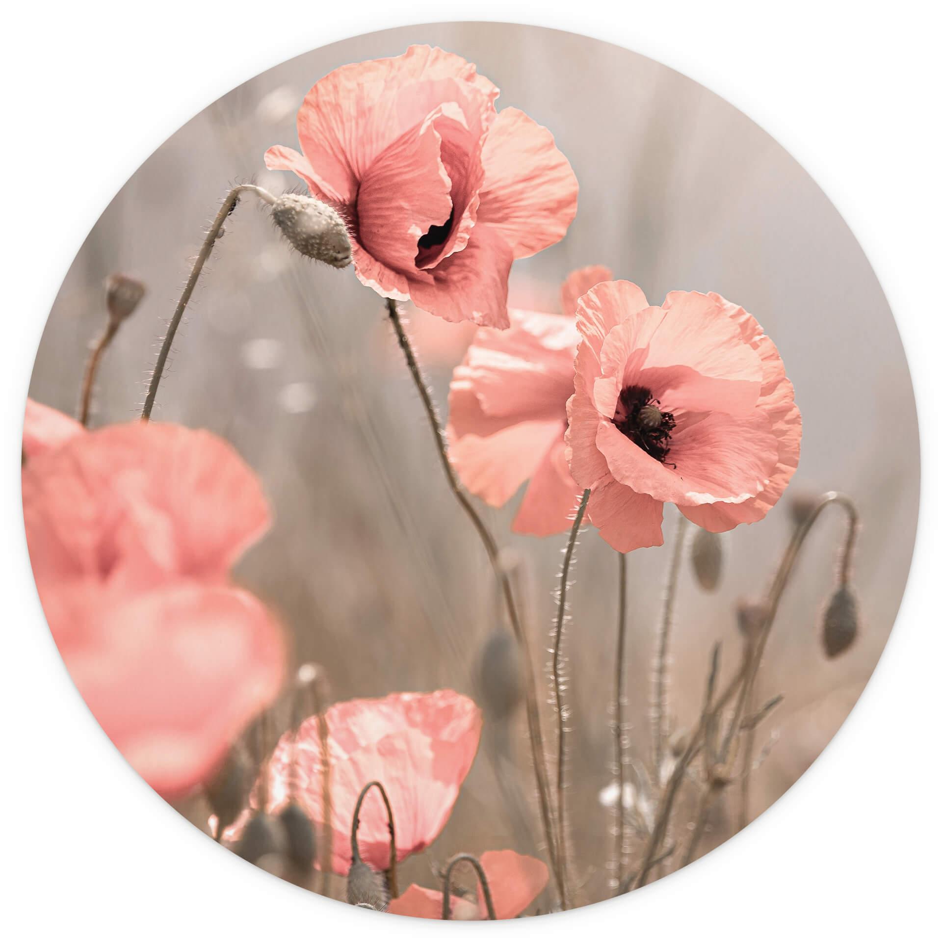 Behangcirkel Delgado - Poppy Flower Romance - vliesbehang/zelfklevend vliesbehang