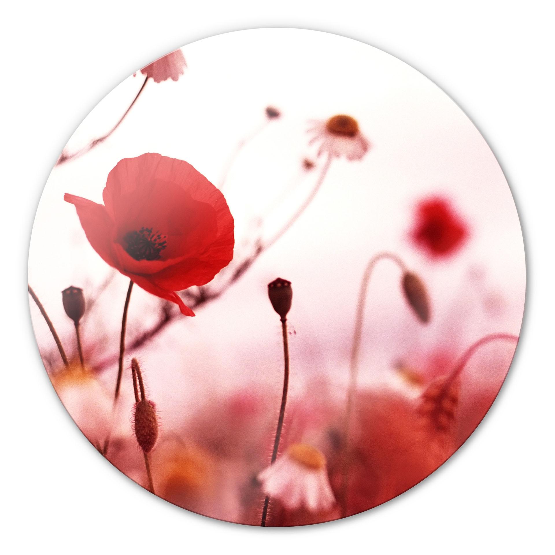 Tableau en verre - Coquelicot - Rond
