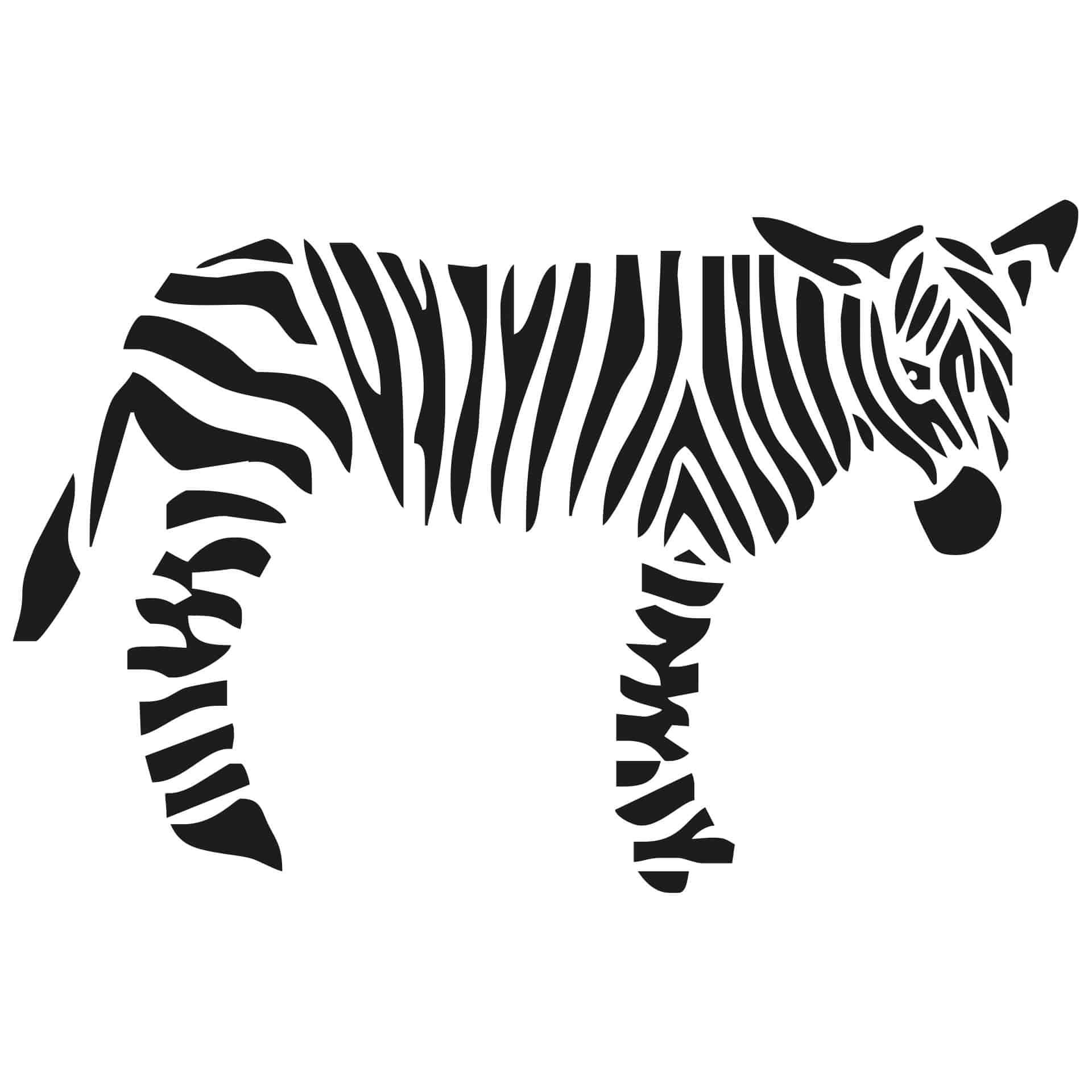 Wandtattoo Zebra