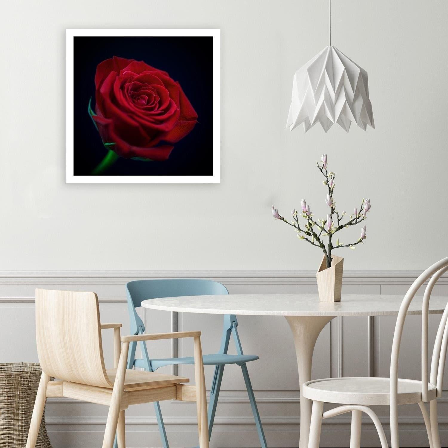 Canvasbillede, Rød rose i mørket