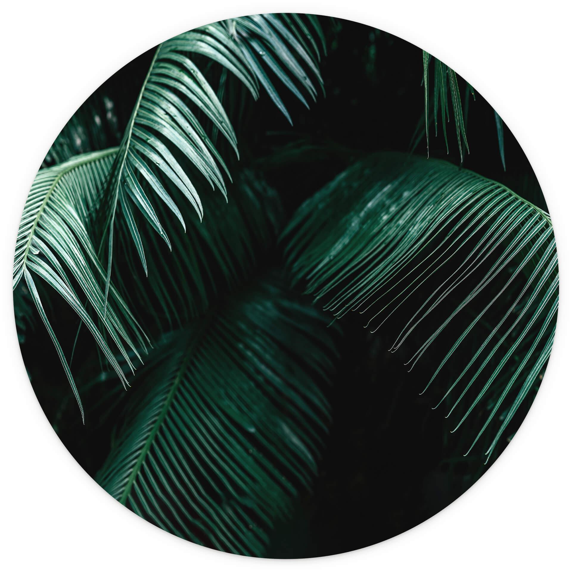 Behangcirkel Tropisch Botanisch - vliesbehang/zelfklevend vliesbehang