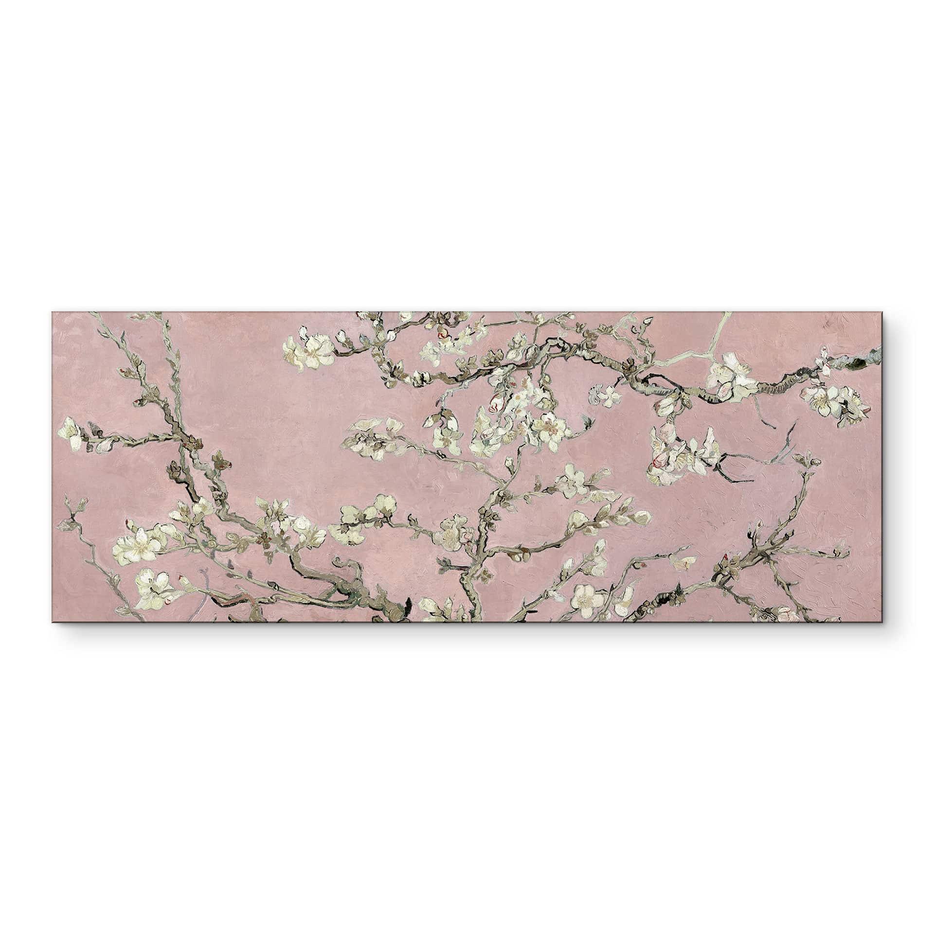 Wandbild van Gogh - Mandelblüte - rosé - Panorama - Alu-Dibond